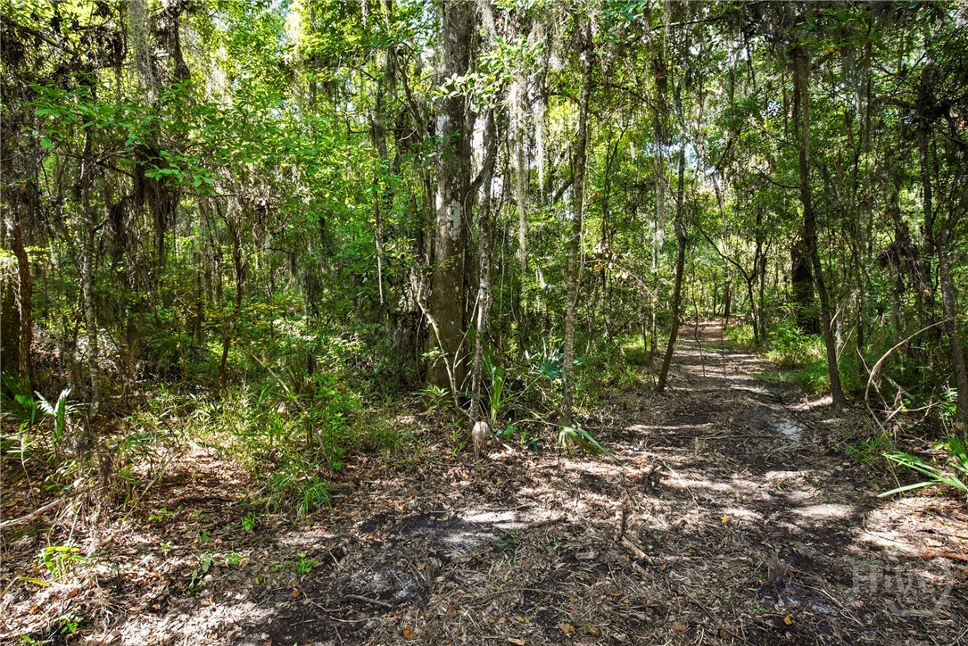 Path to Big Oak Rd from the Lot