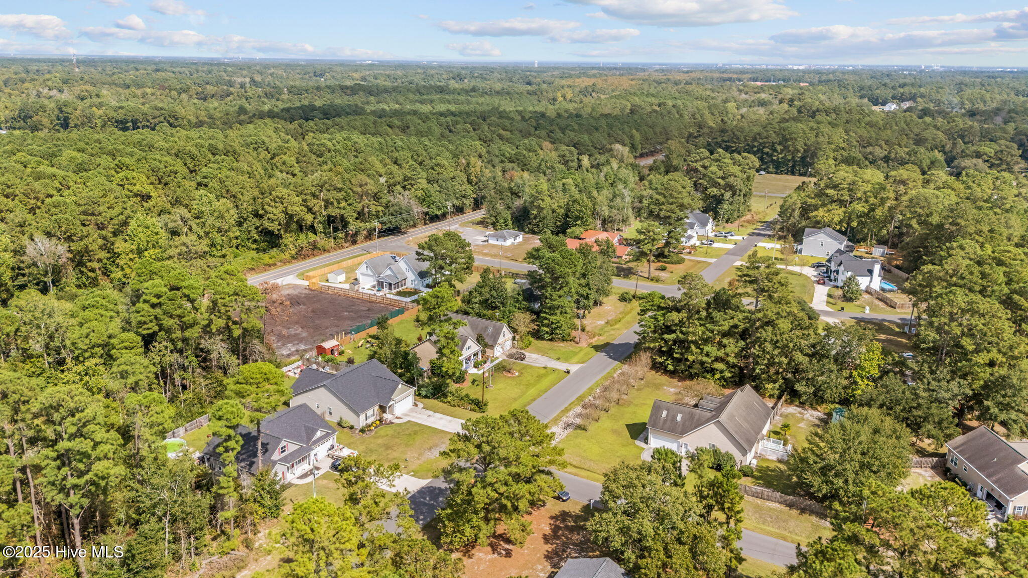 100531011 | Photo 34