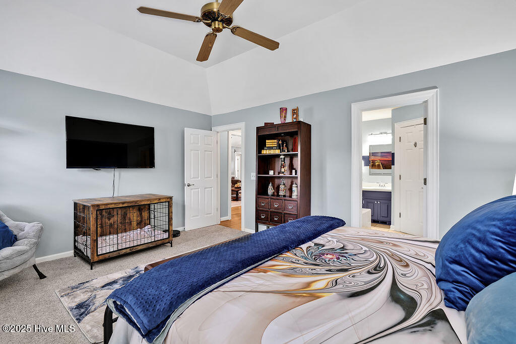 100515391 | Photo 20