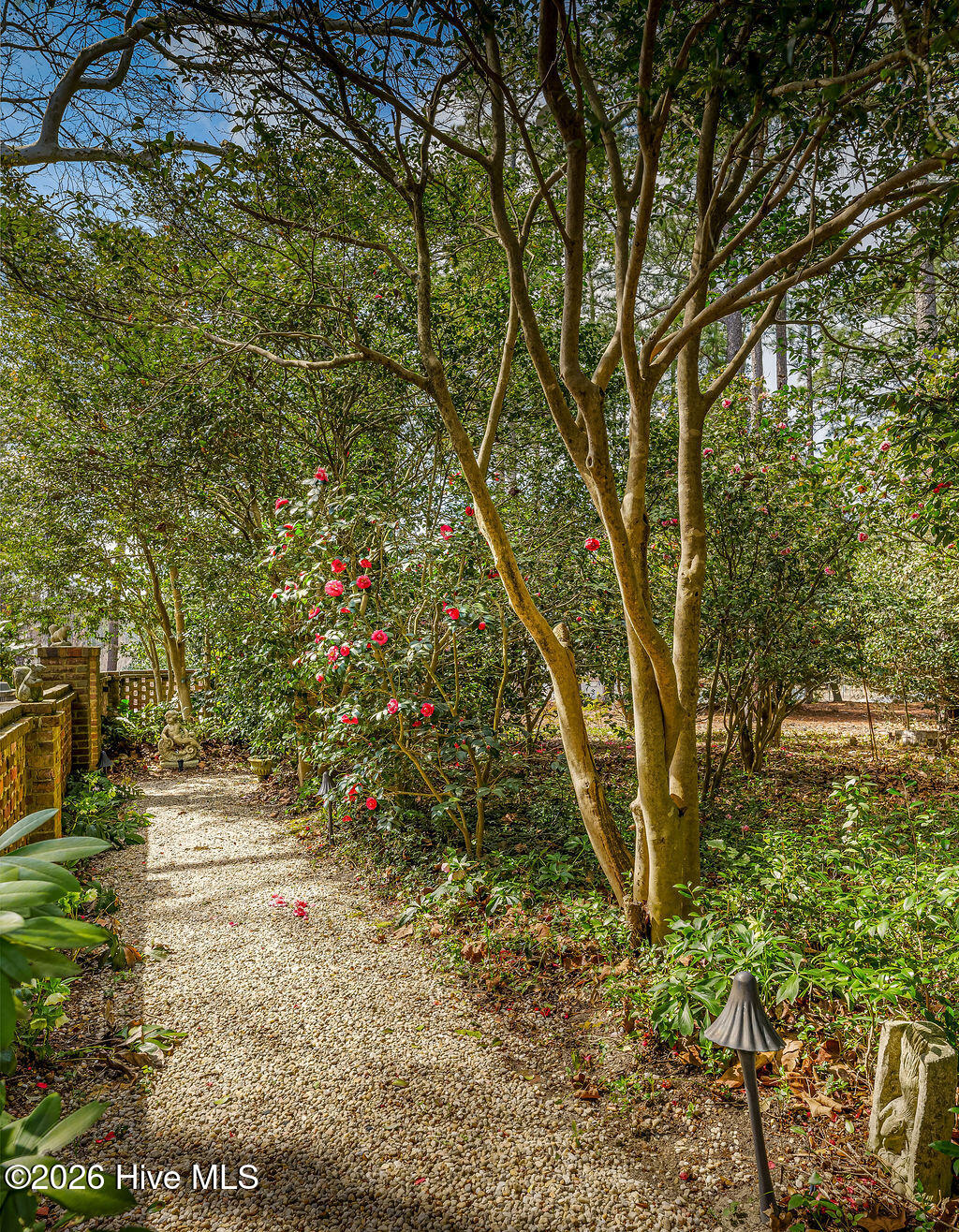 Paths, camellias, pool walls, old trees, and the small rituals that outlast ownership.