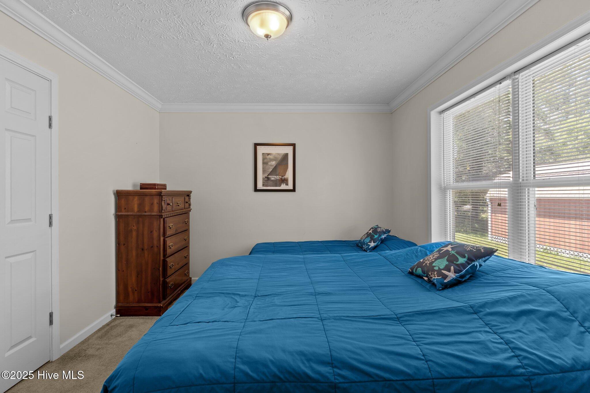 100509442 | Photo 21