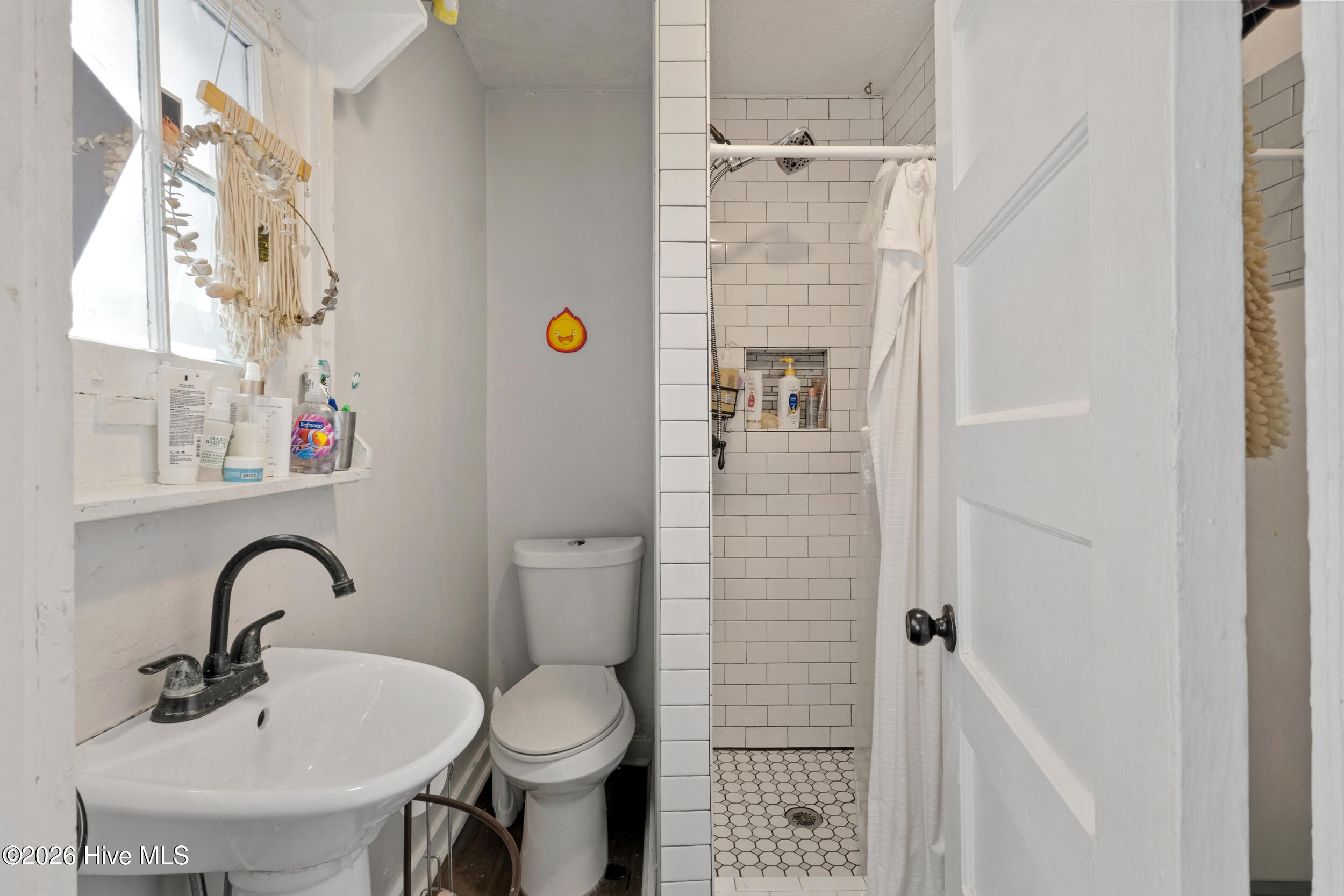 100566209 | Photo 23