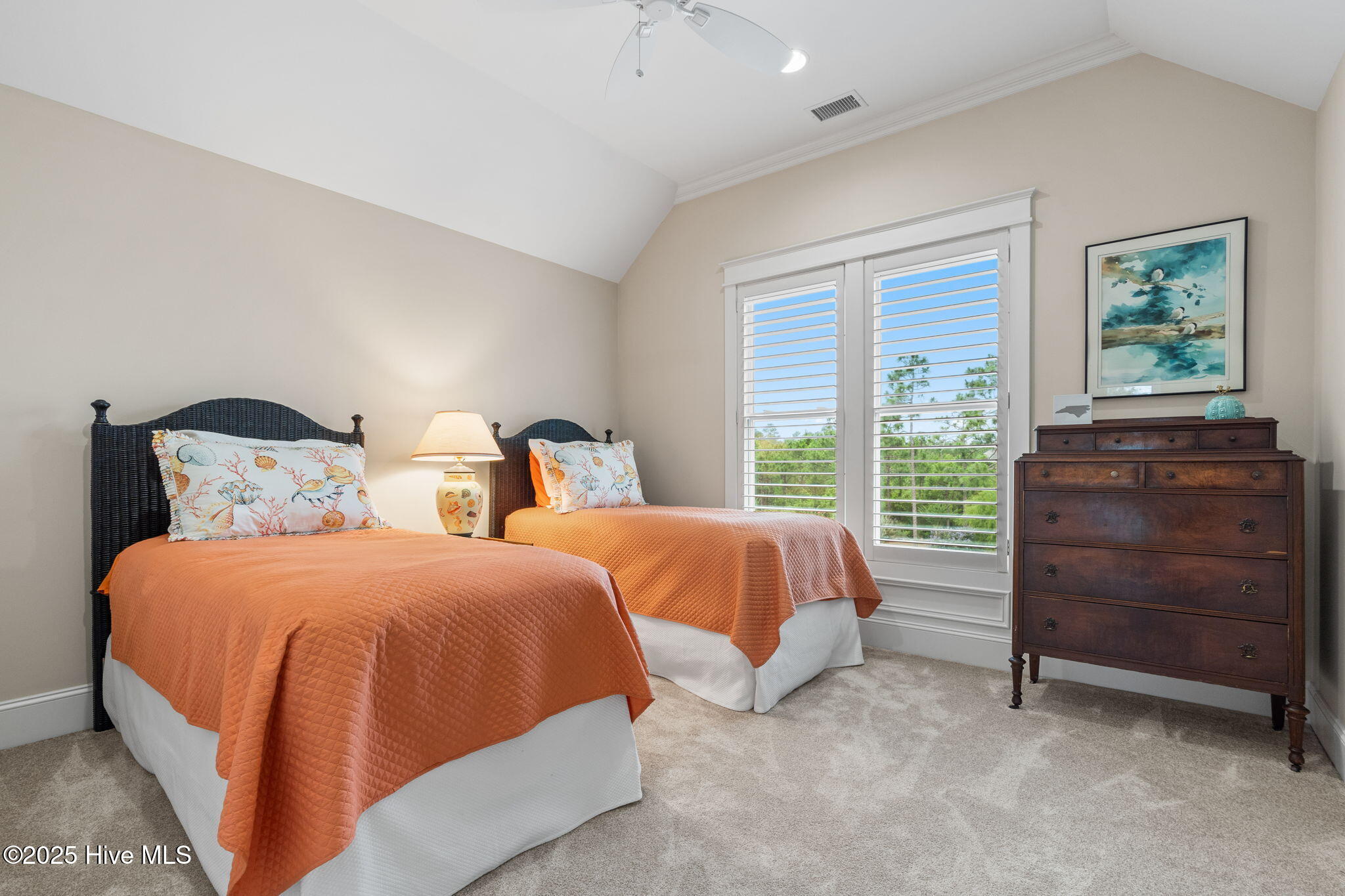 100562401 | Photo 58