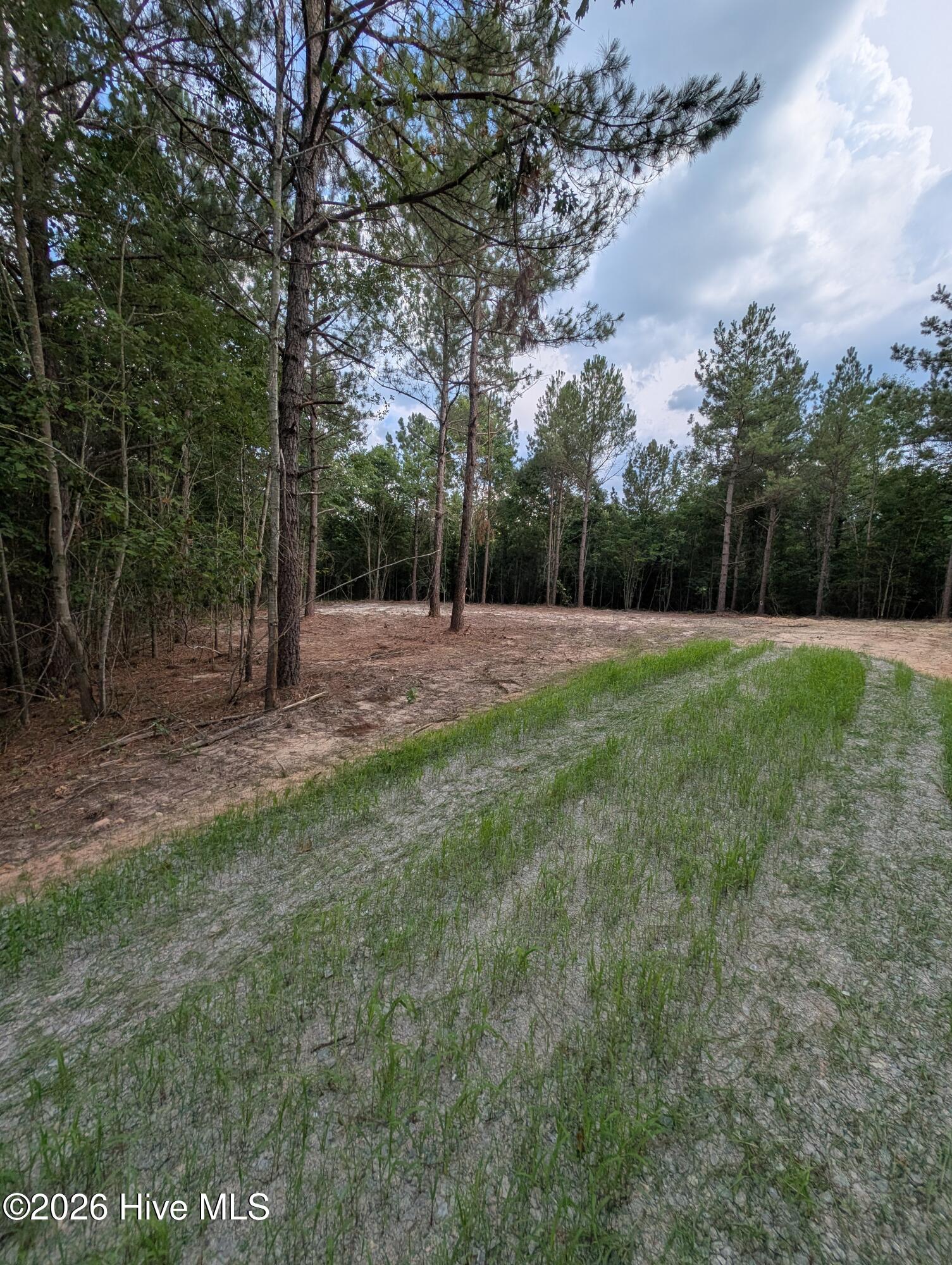 3rd image of Tbd Peyton Dr, Eagle Springs, NC 27242 | MLS# 100591264