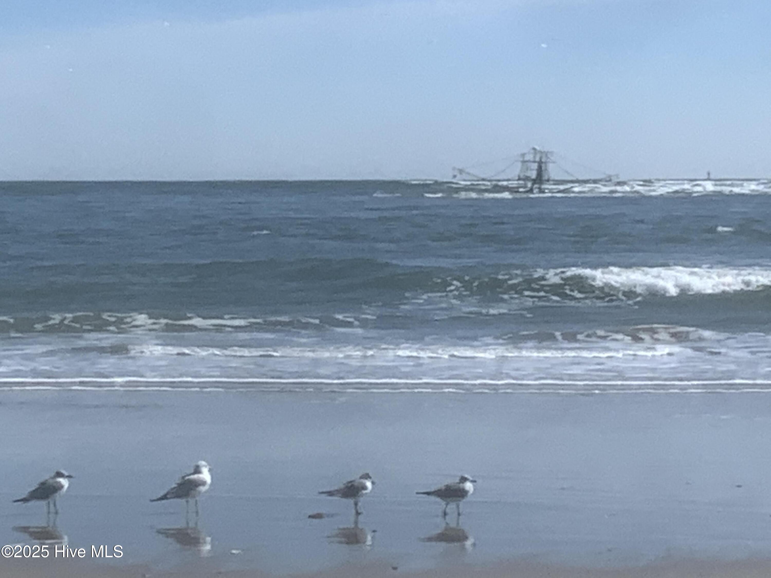 100518662 | Photo 19