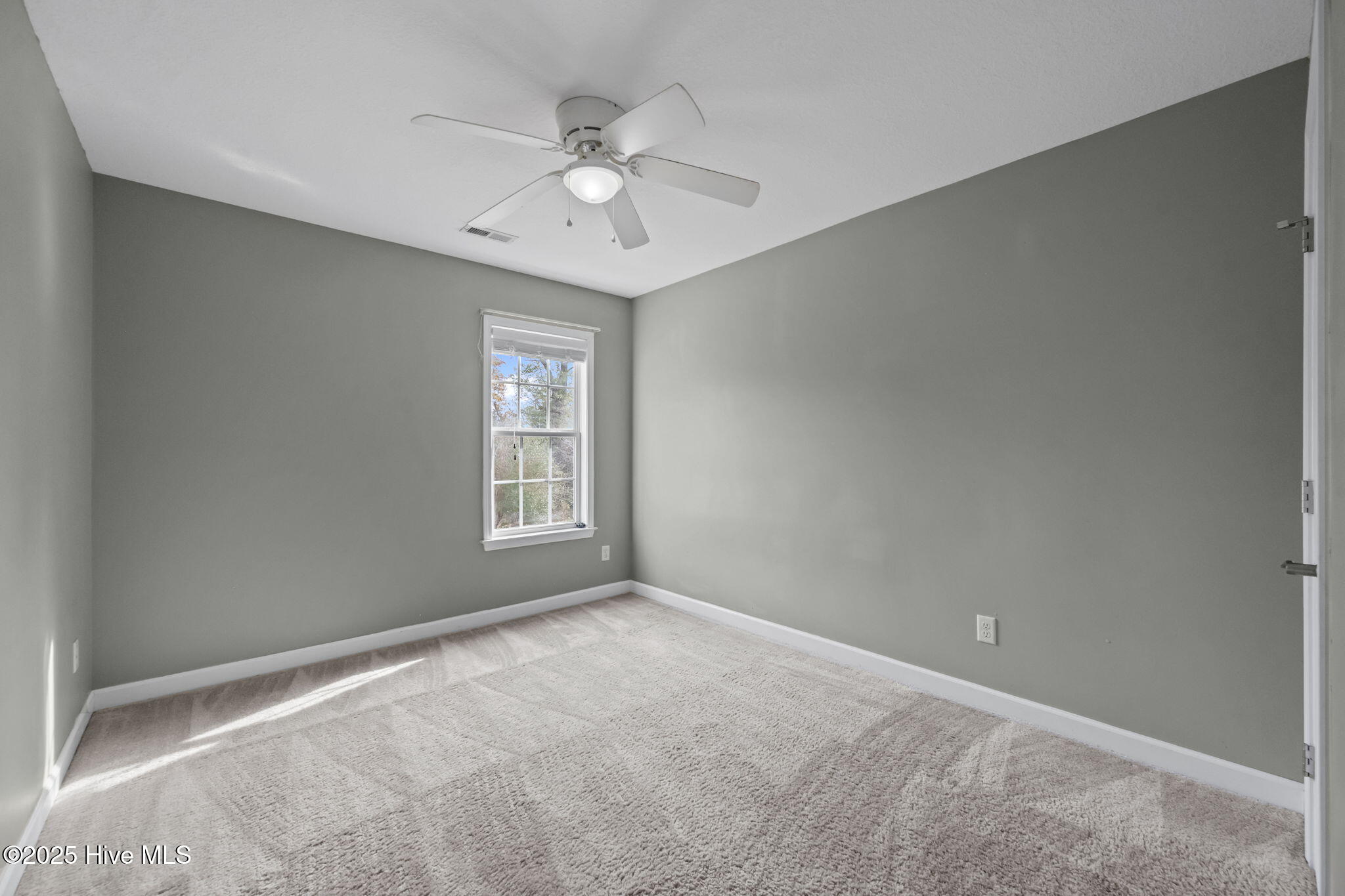 100546071 | Photo 45