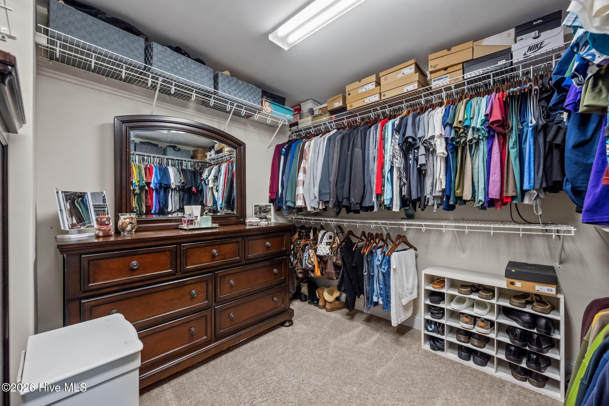 100554000 | Photo 35