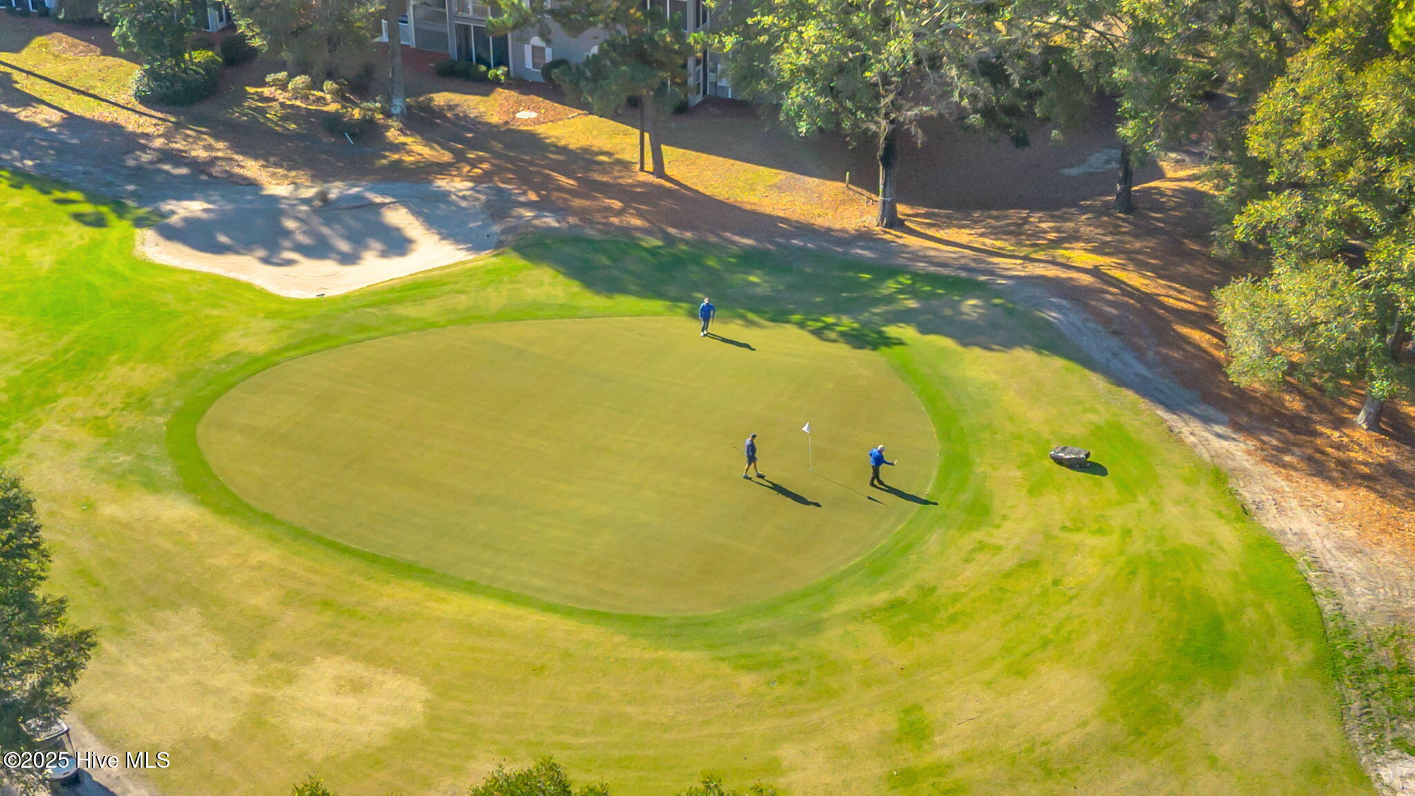 100543915 | Photo 56