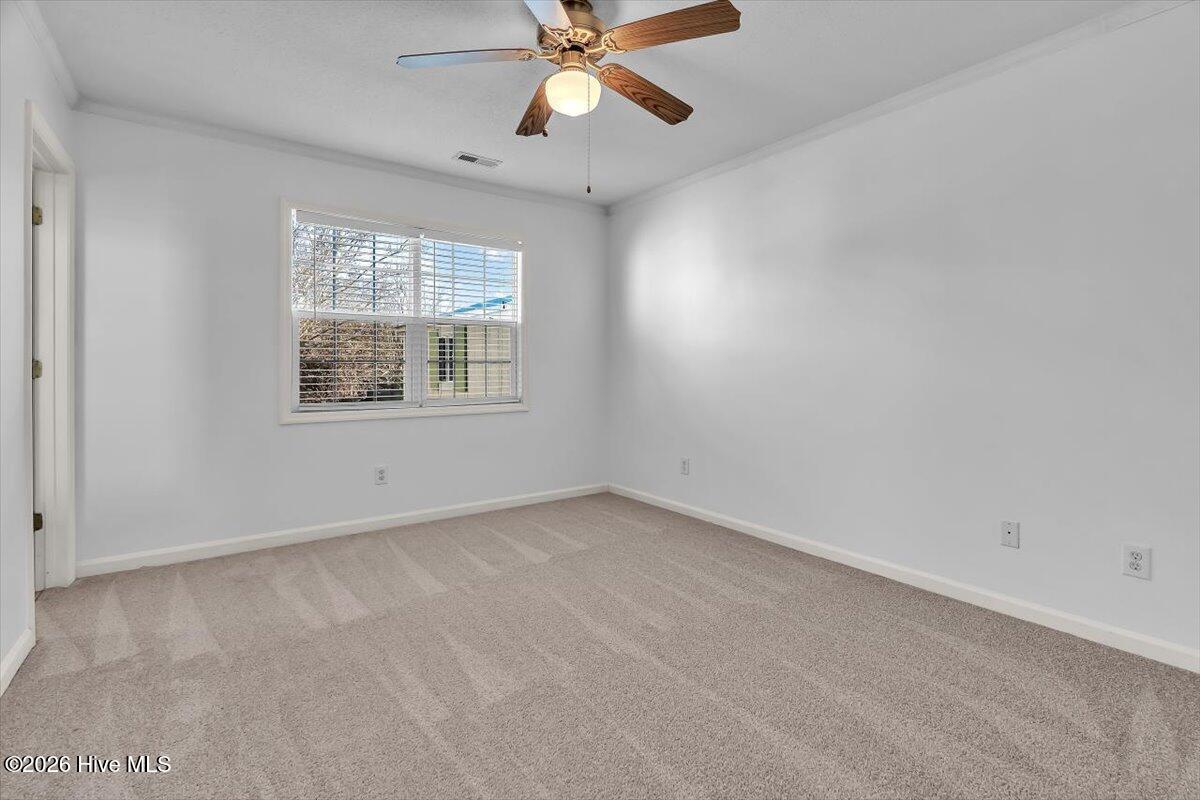 100552346 | Photo 27