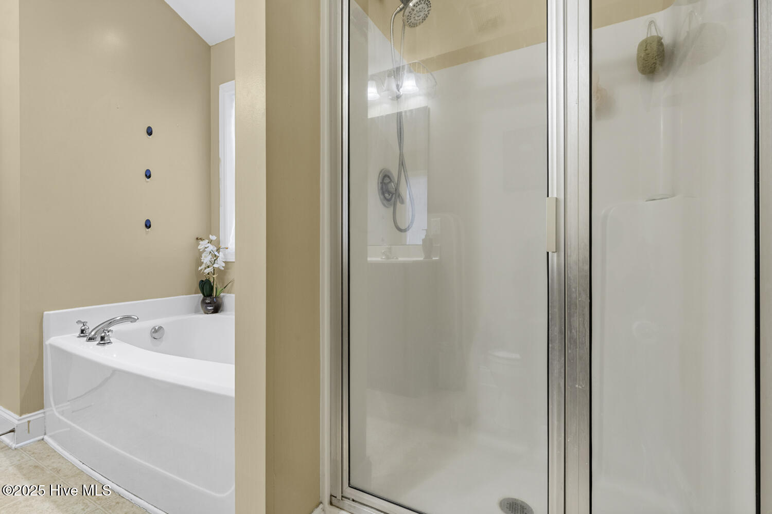 100544554 | Photo 27