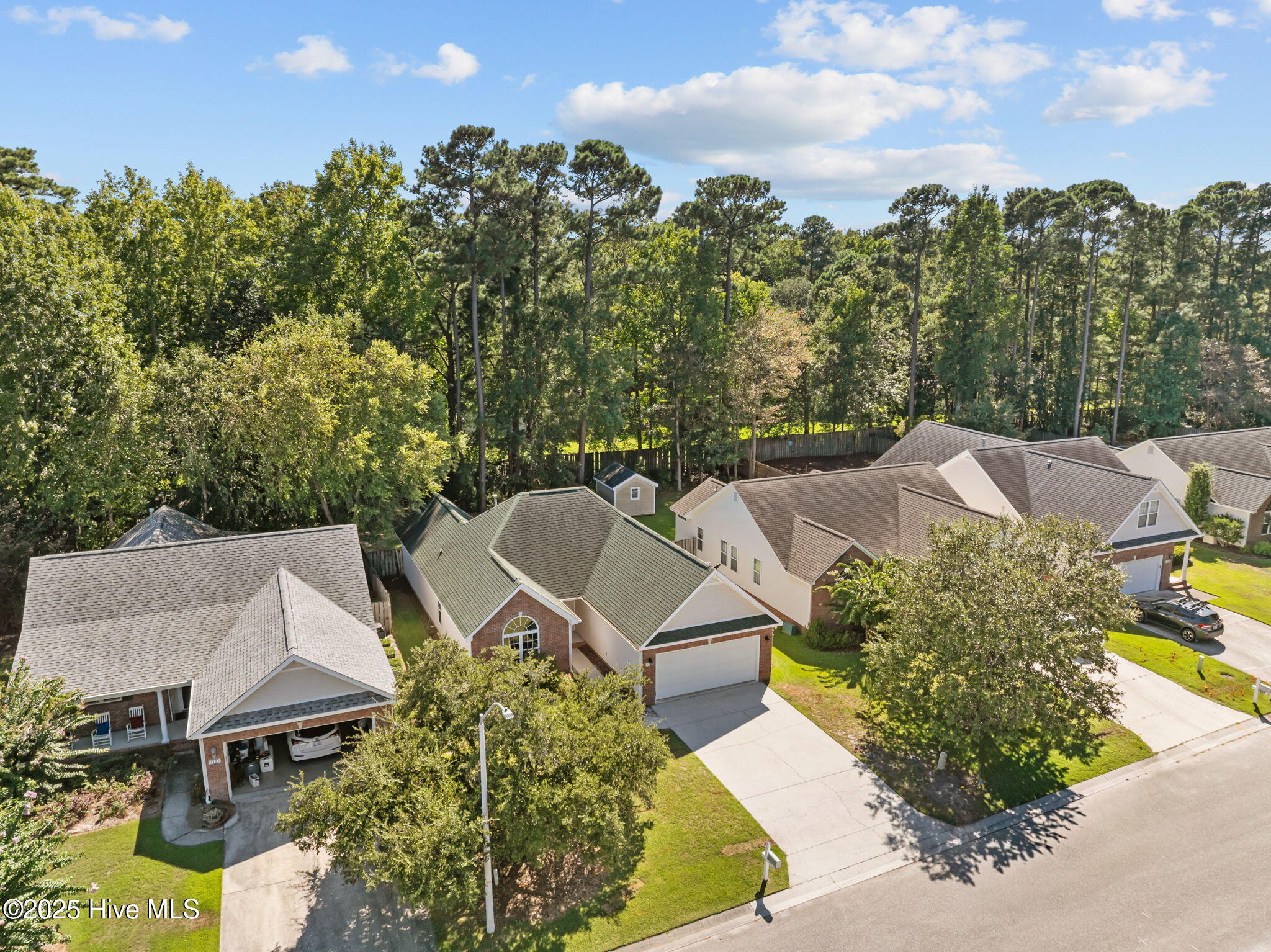 100529967 | Photo 36