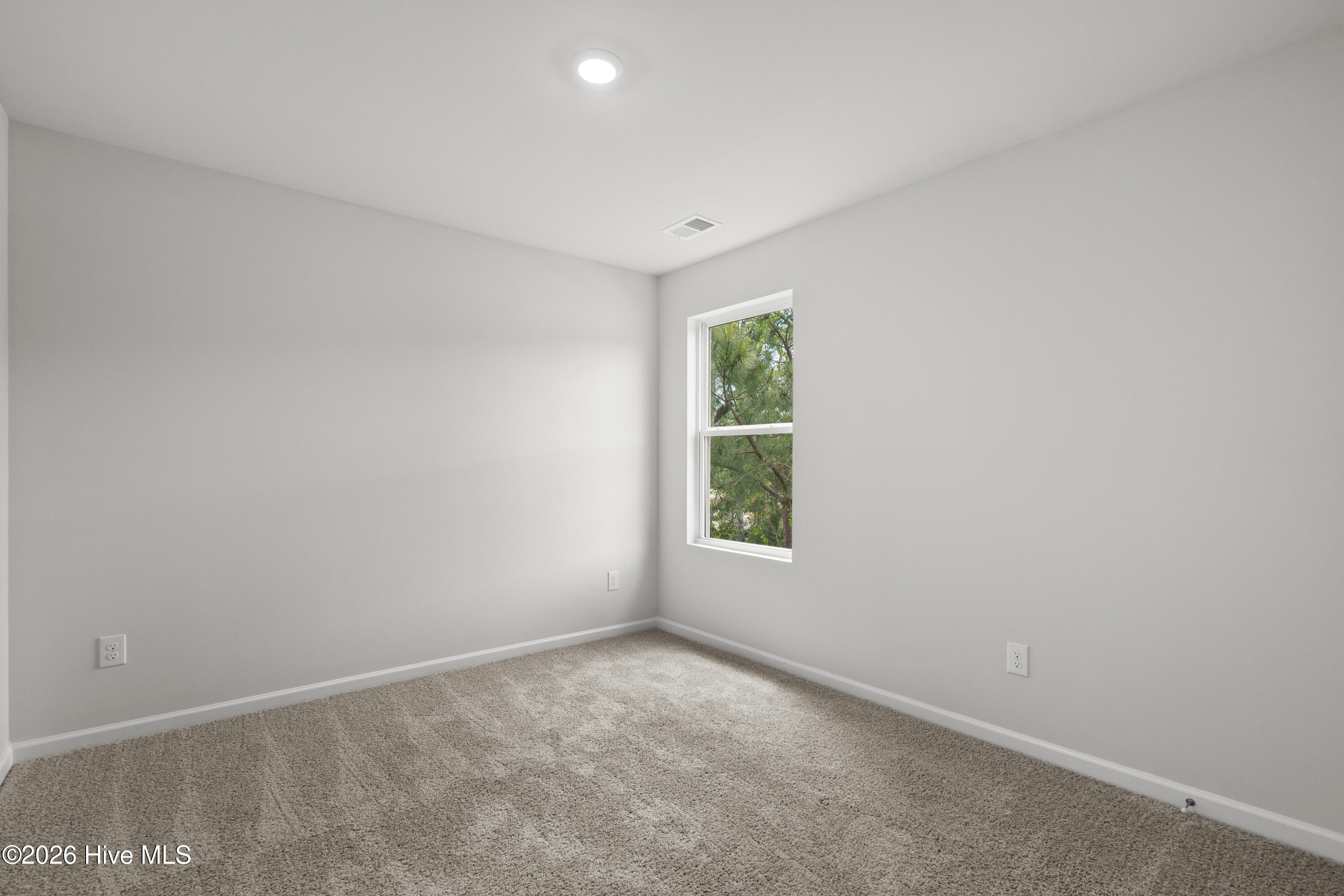 100554673 | Photo 30