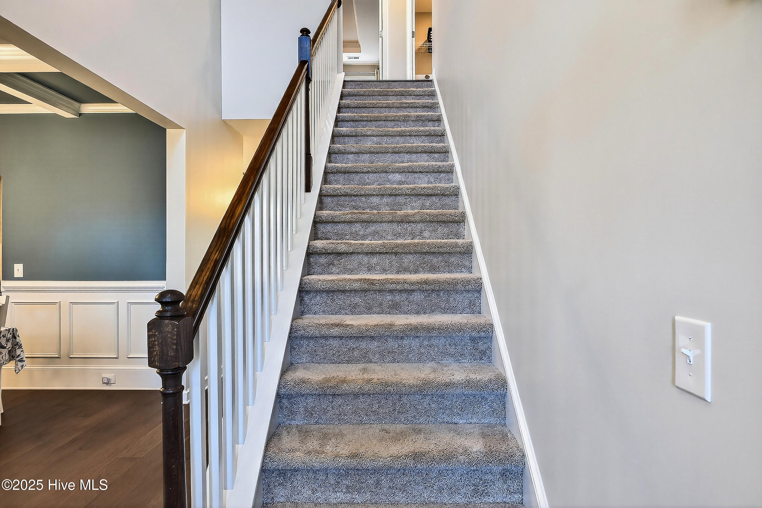 100539919 | Photo 18