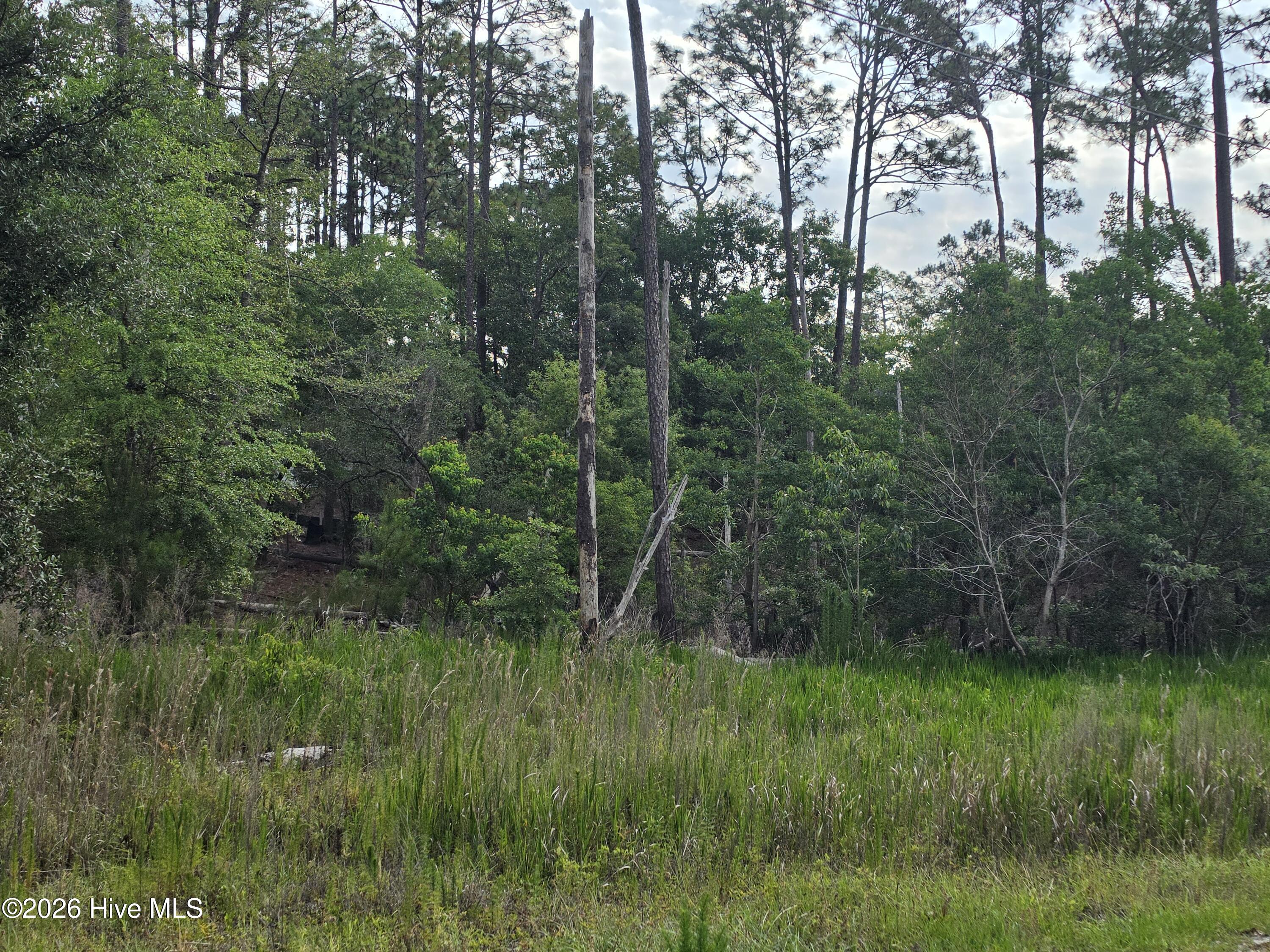 Carolina Barrier Islands Carolina Barrier Islands
