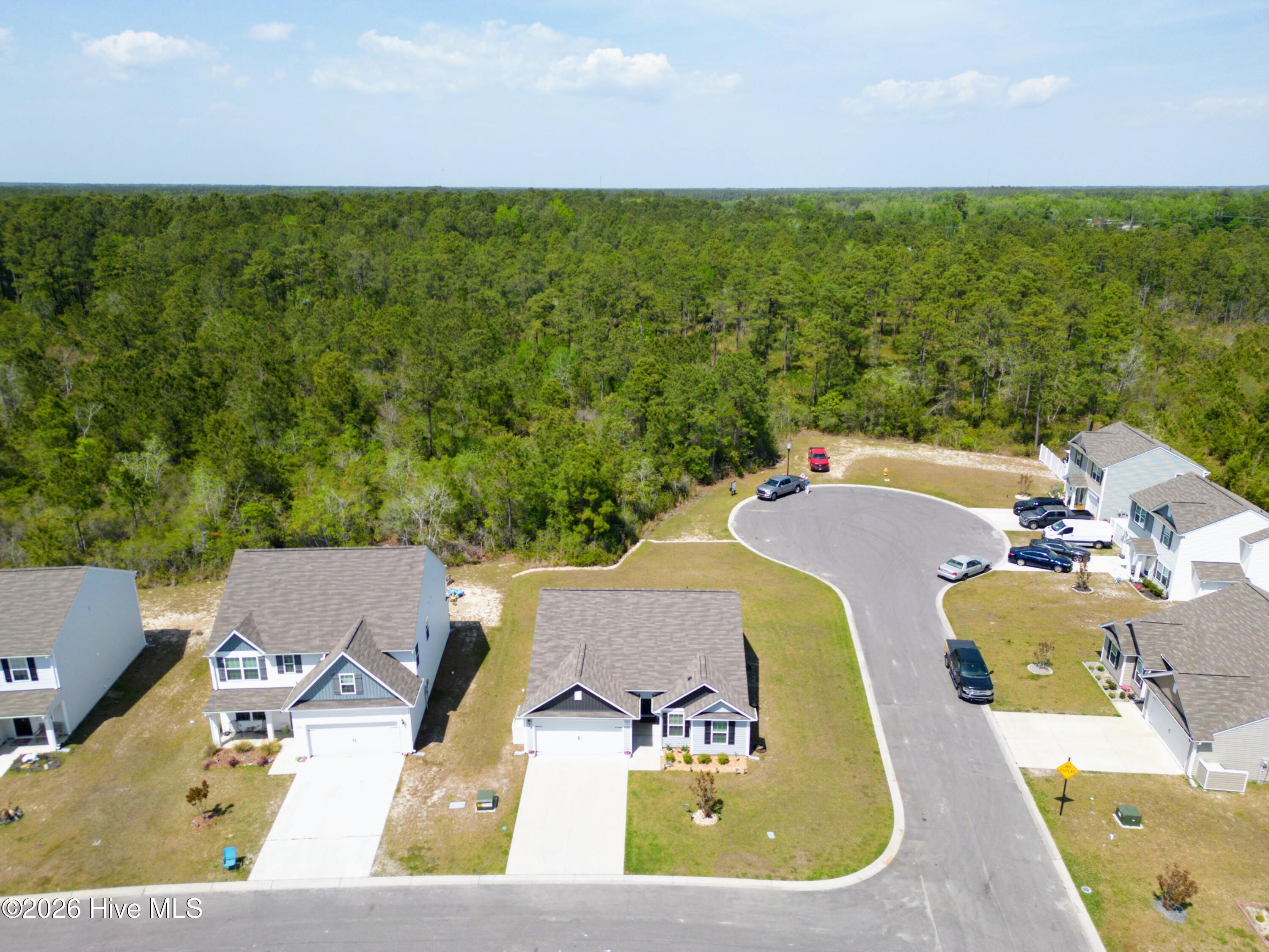 100568159 | Photo 25