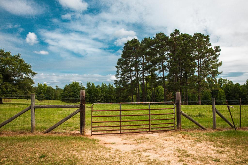 4918 Wrens Highway, Thomson, GA 30824 Listing Photo  36