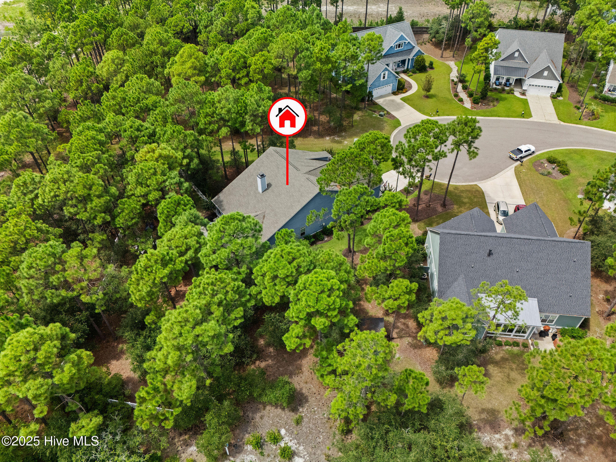 100529341 | Photo 63