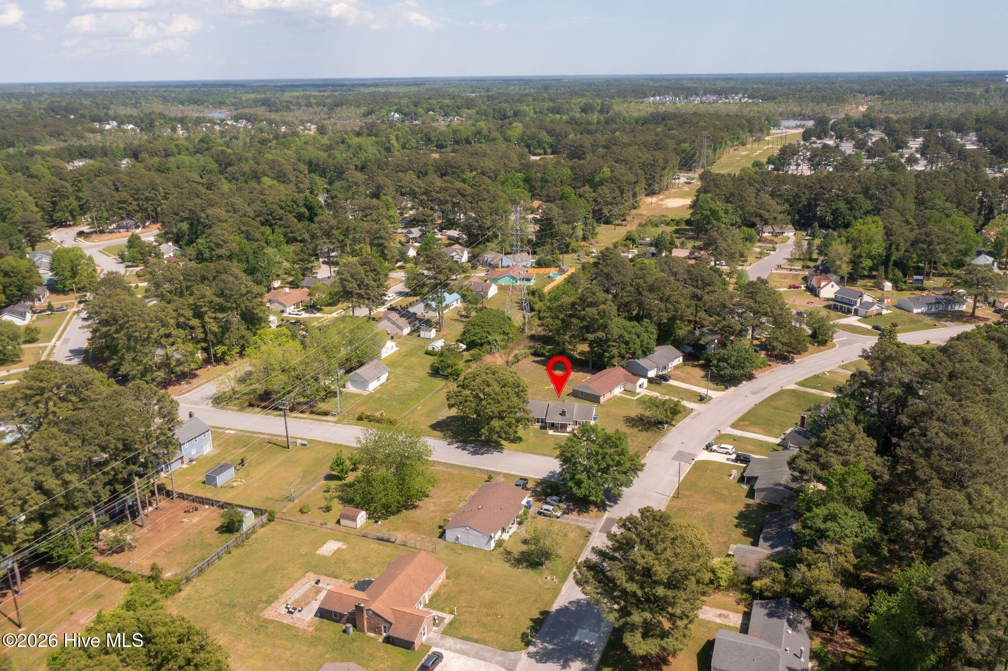 100568369 | Photo 48