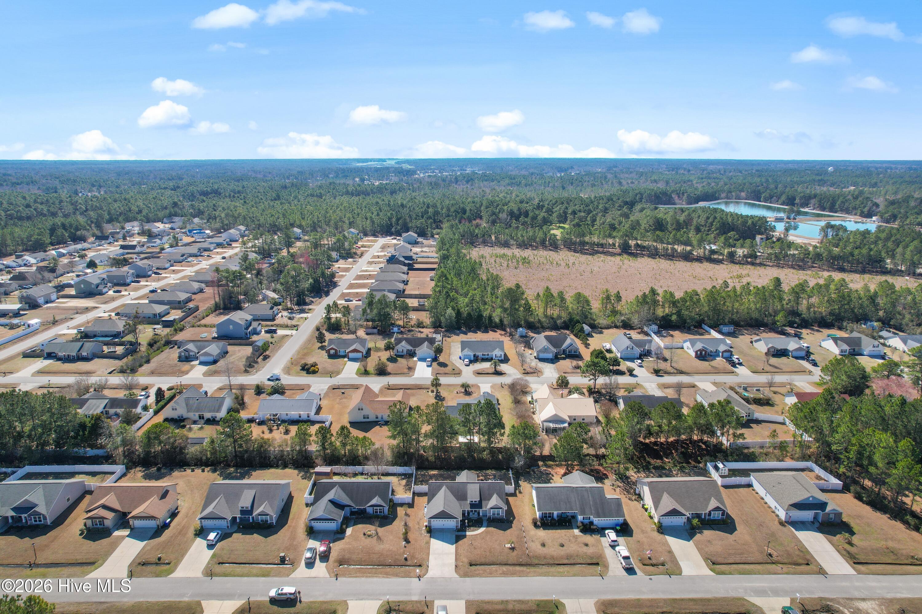 100556546 | Photo 37