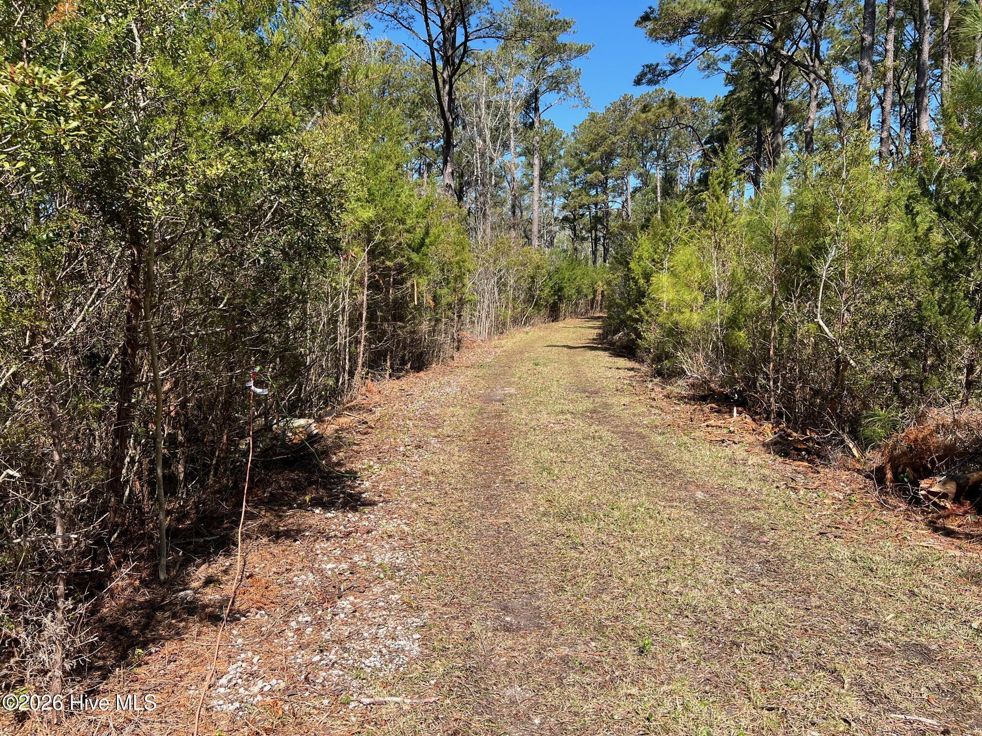 150 Styron Creek Road,Sea Level