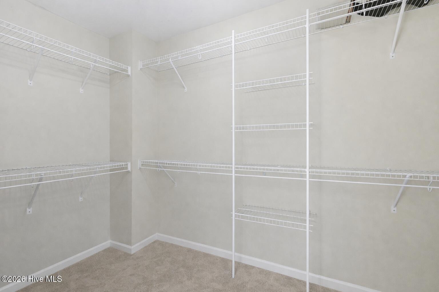 100561870 | Photo 21