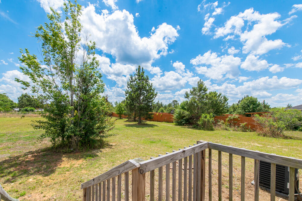 Back Deck!