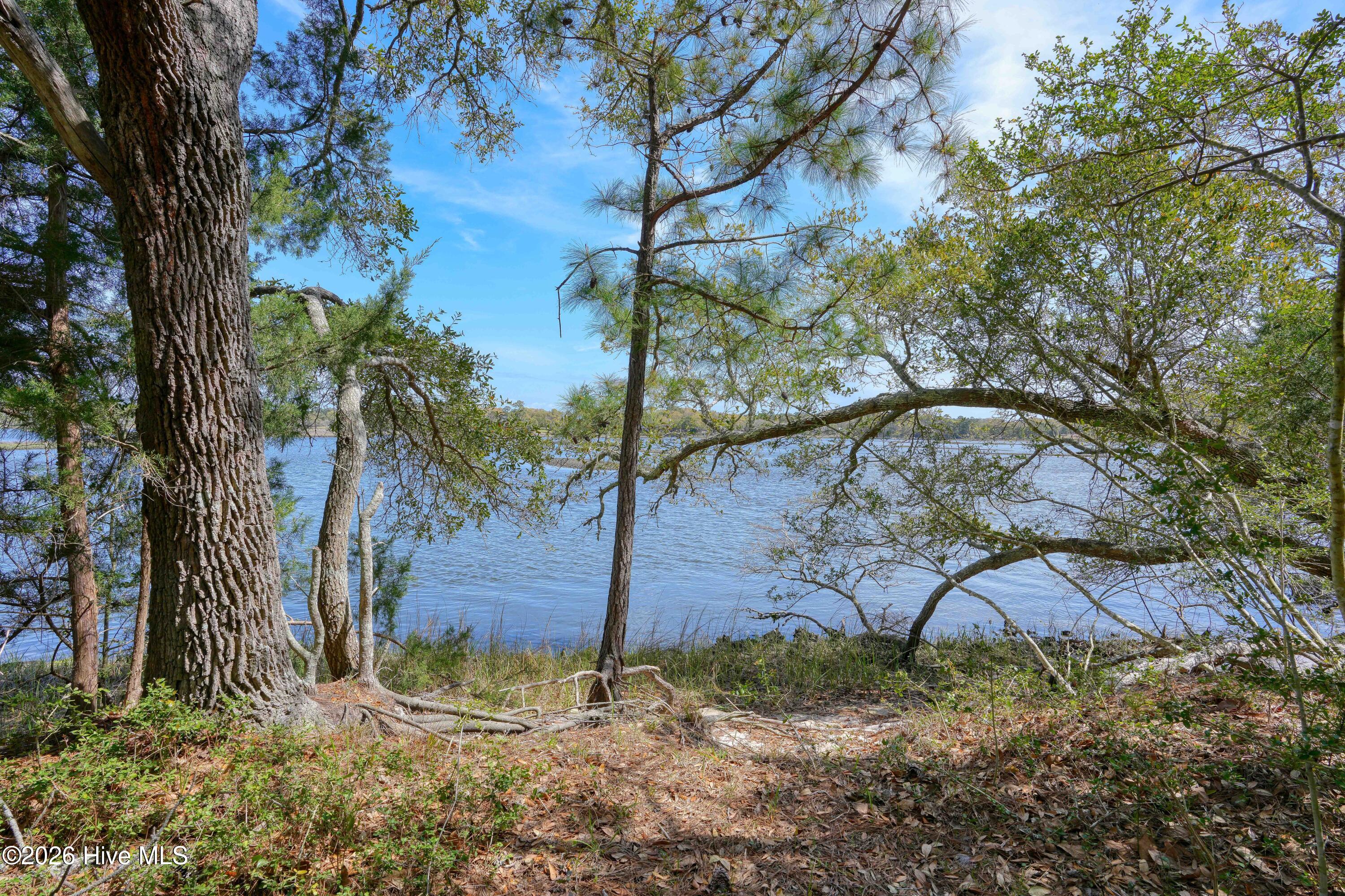 100564032 | Photo 22