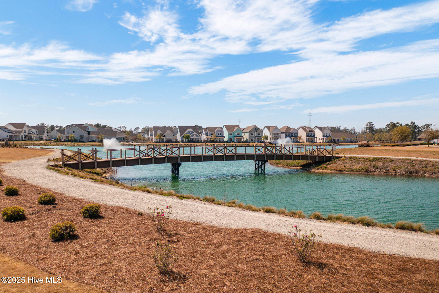 100538755 | Photo 89