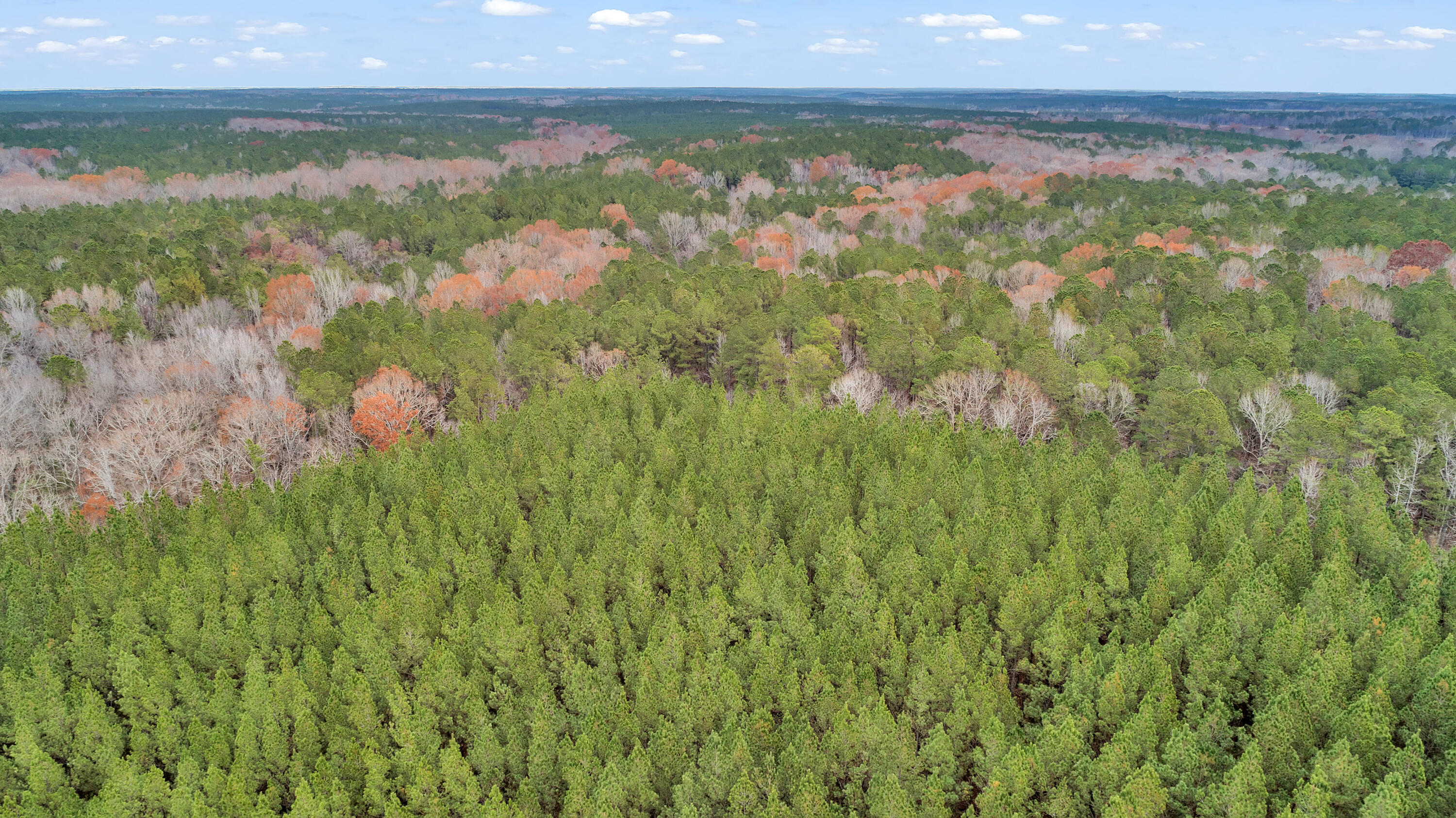 Saggus Rd land 121-007A, 200ft View, Dro