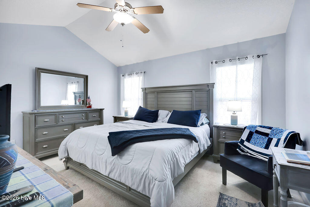 100550832 | Photo 25