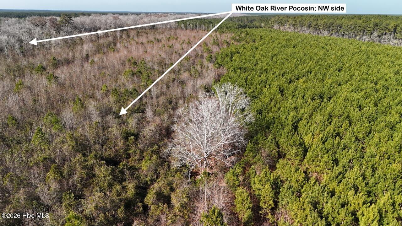 Homes for sale in Maysville, NC | 0 White Oak River Rd, Maysville, NC 28555 | MLS# 100549470