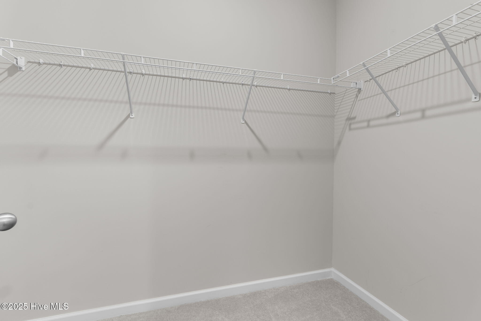 100538168 | Photo 23