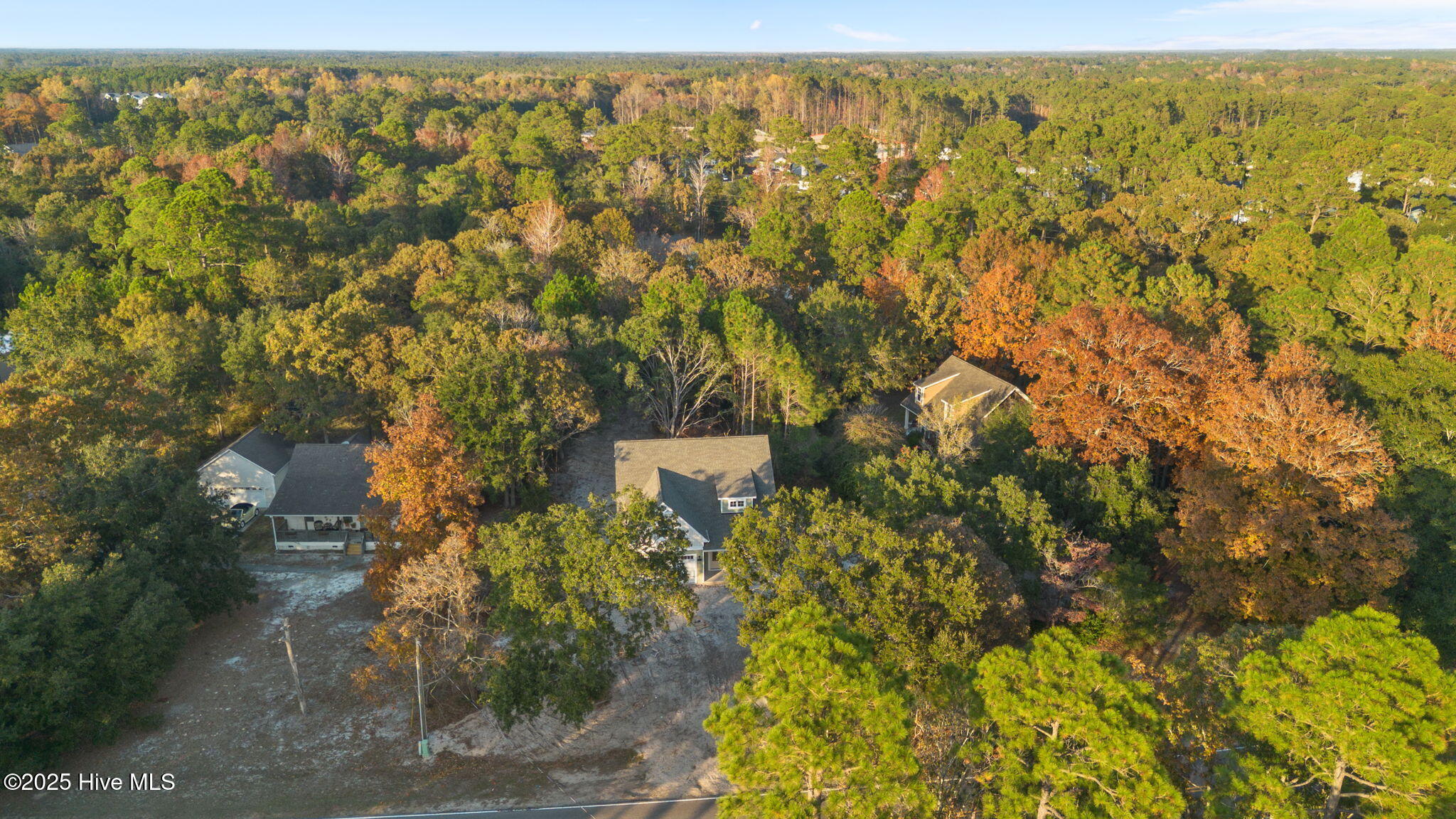 100528695 | Photo 57