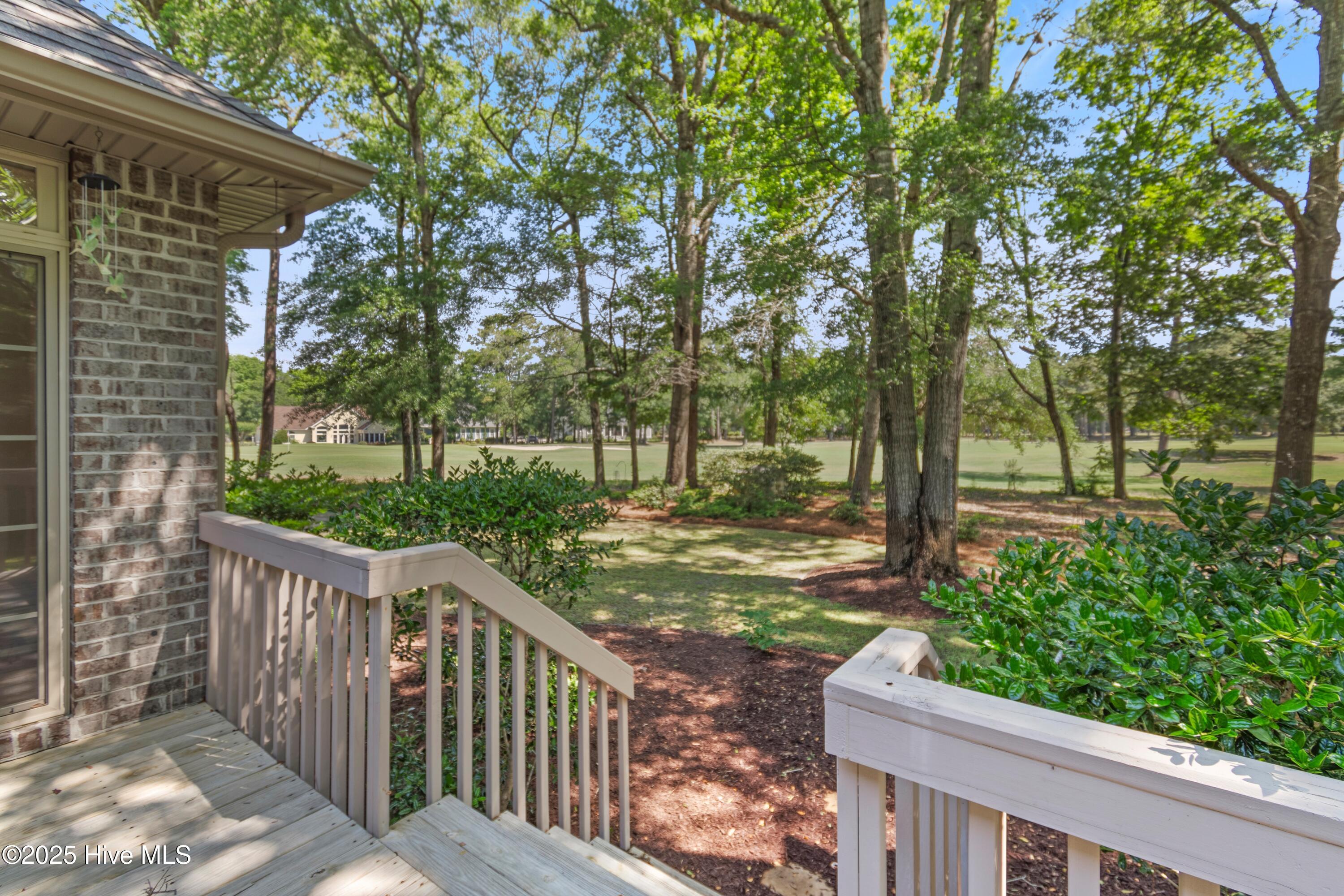 100509392 | Photo 50