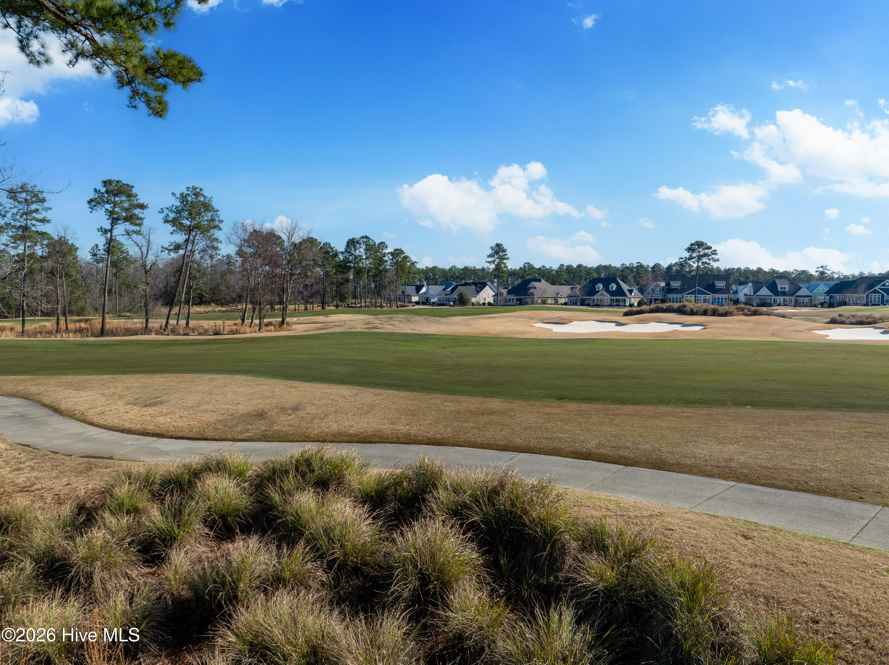 100557146 | Photo 29