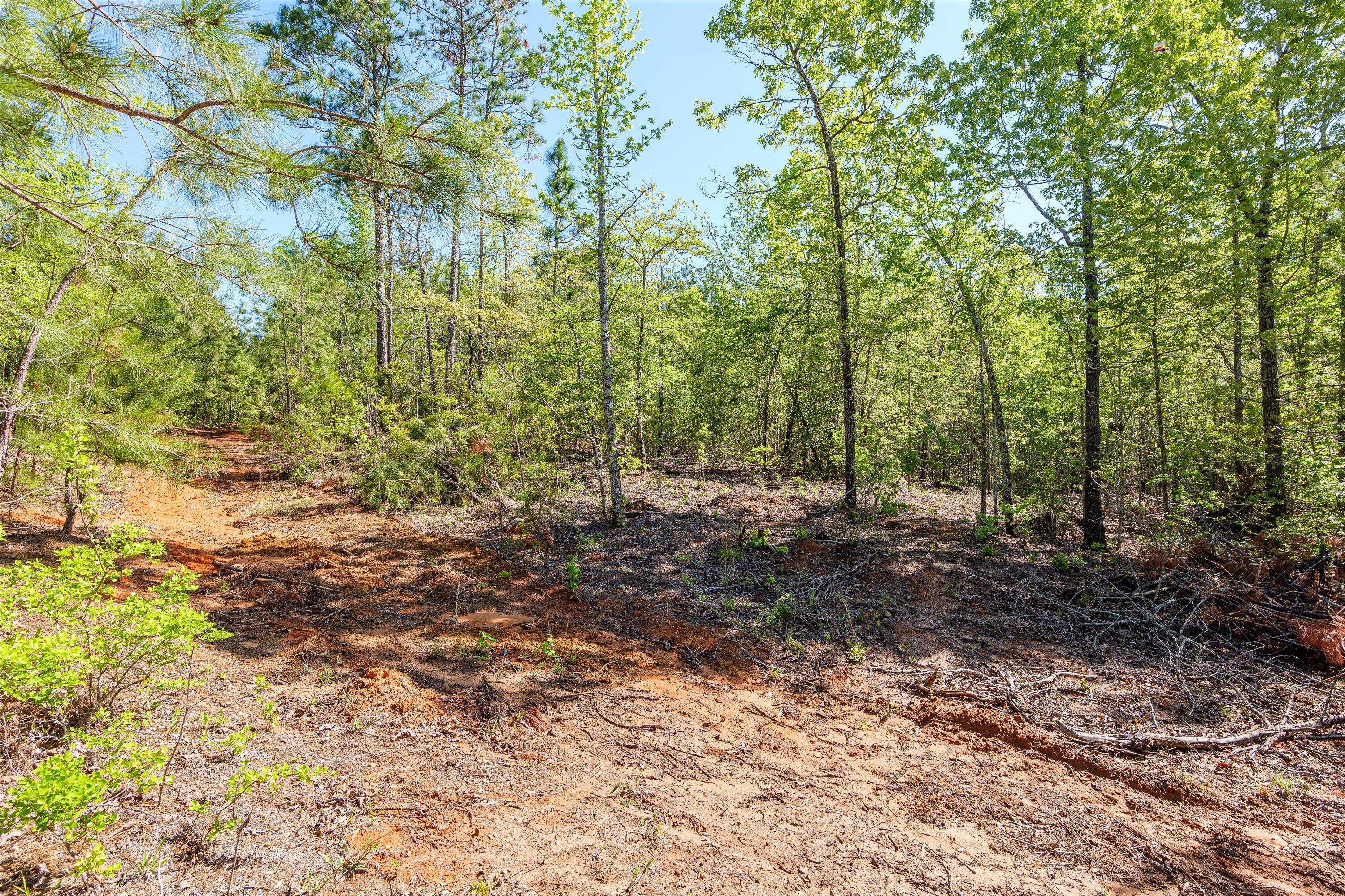 Homes for sale in Dearing, GA | 0 Whitaker Rd, Dearing, GA 30808 | MLS# 540660