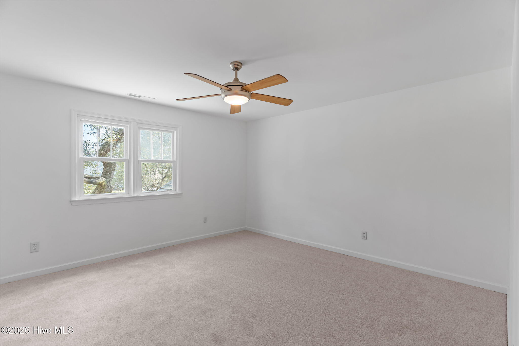 100562796 | Photo 35