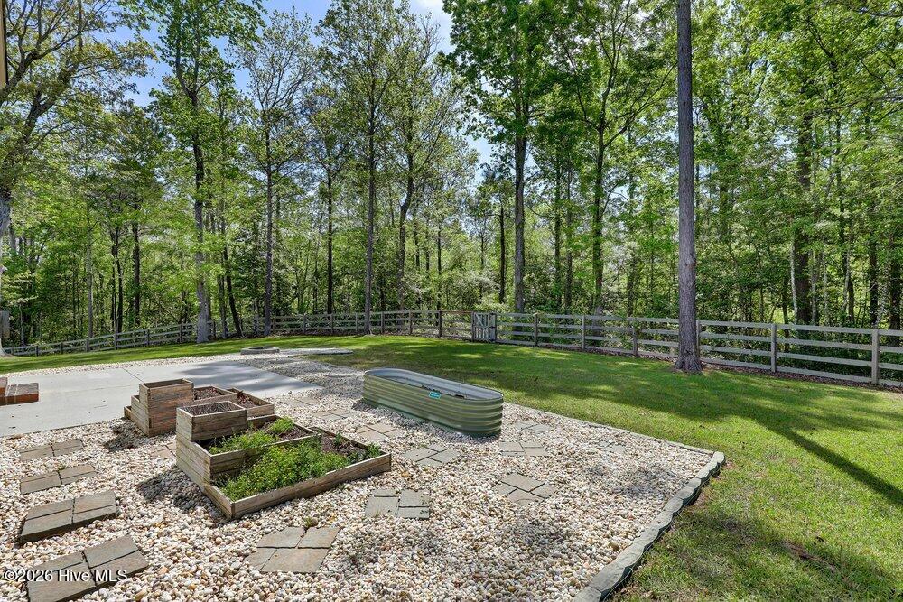 100567817 | Photo 26