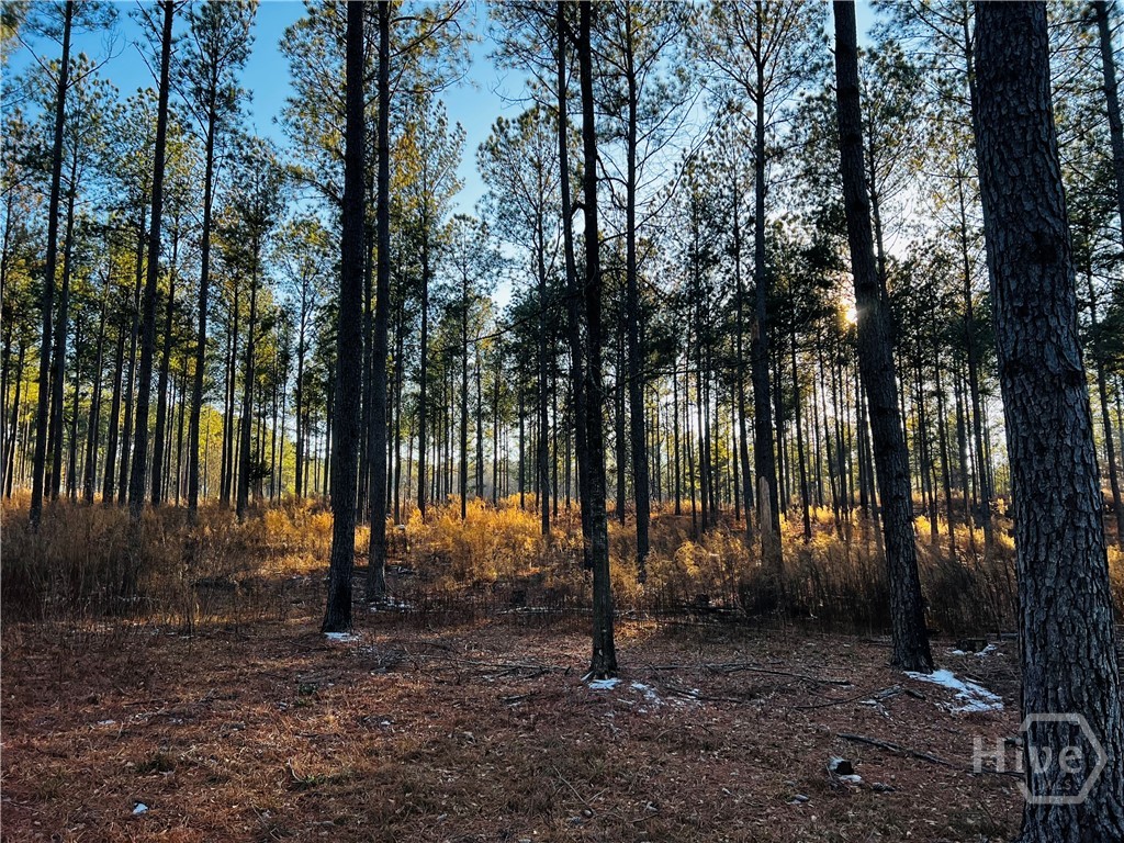 2285 Cherokee Road, Comer, GA, 30629