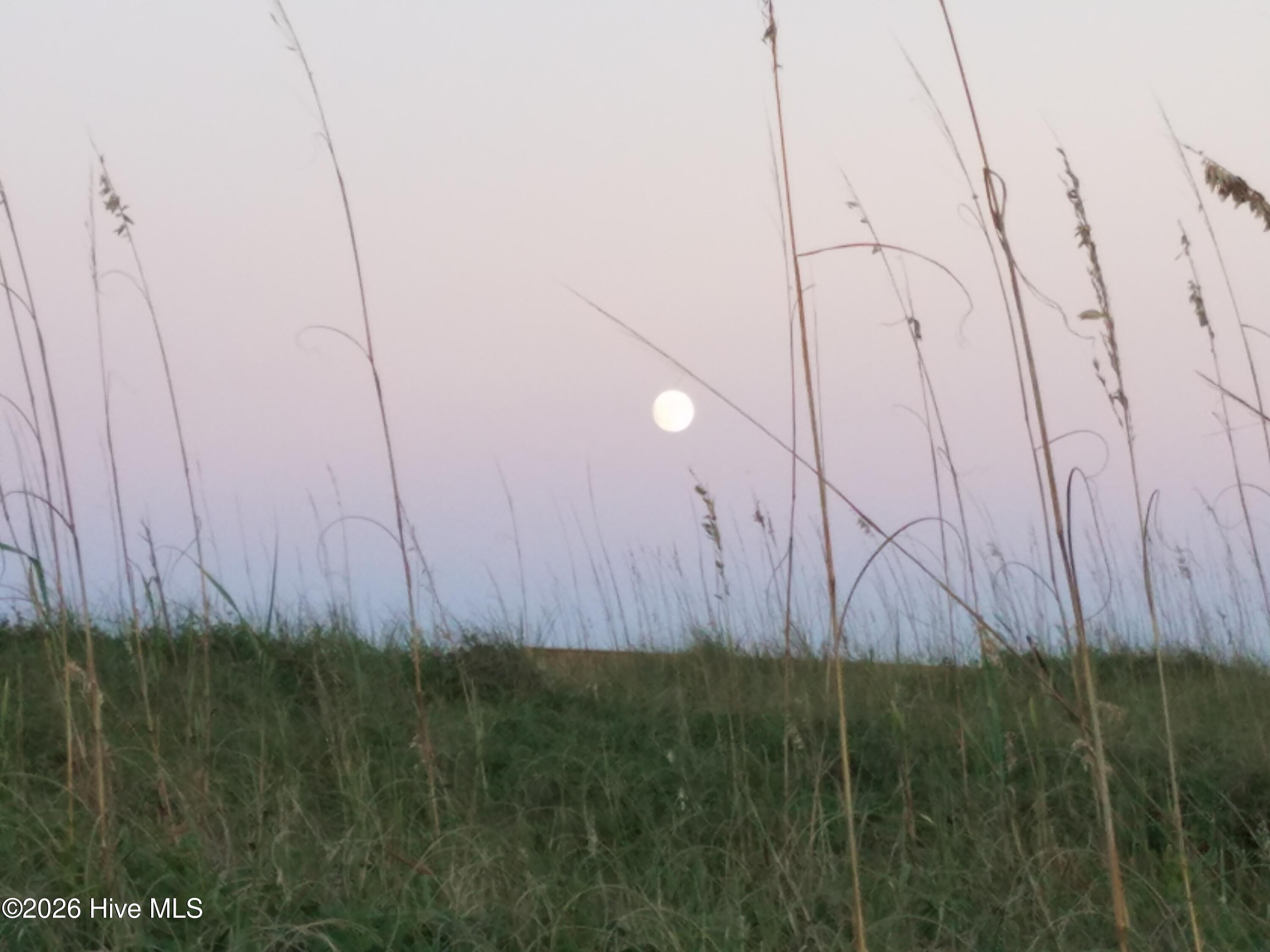 100564948 | Photo 75