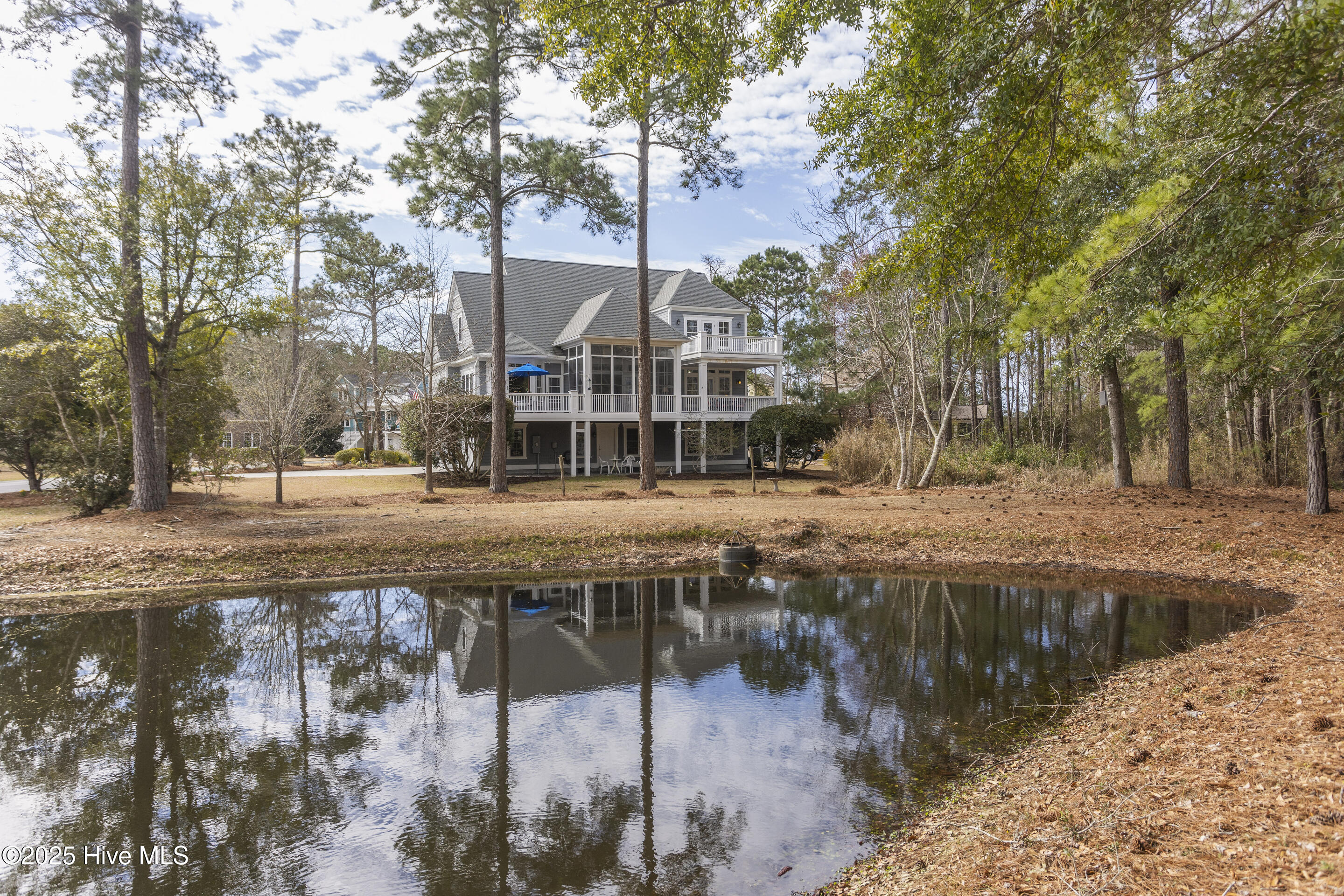 100493610 | Photo 99