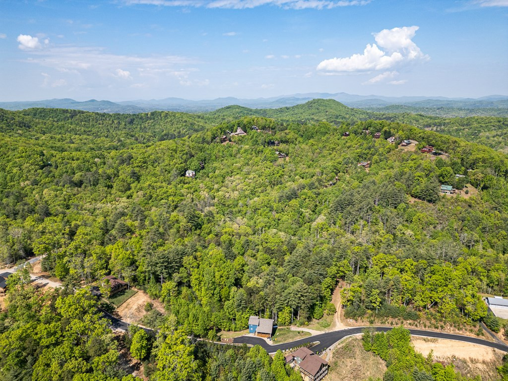 604 Point Overlook Trail, Murphy, NC 28906 Listing Photo  48