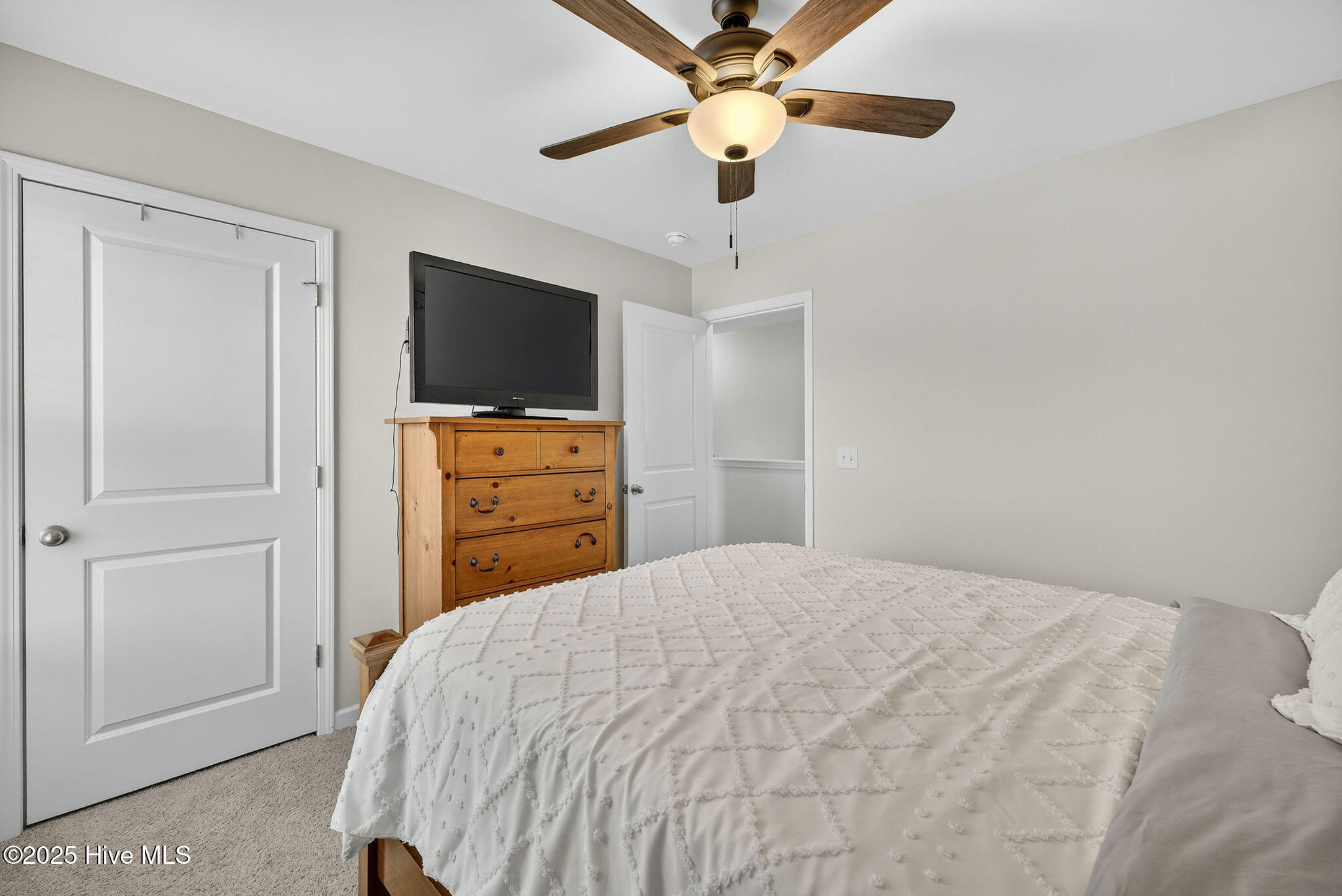 100535181 | Photo 33