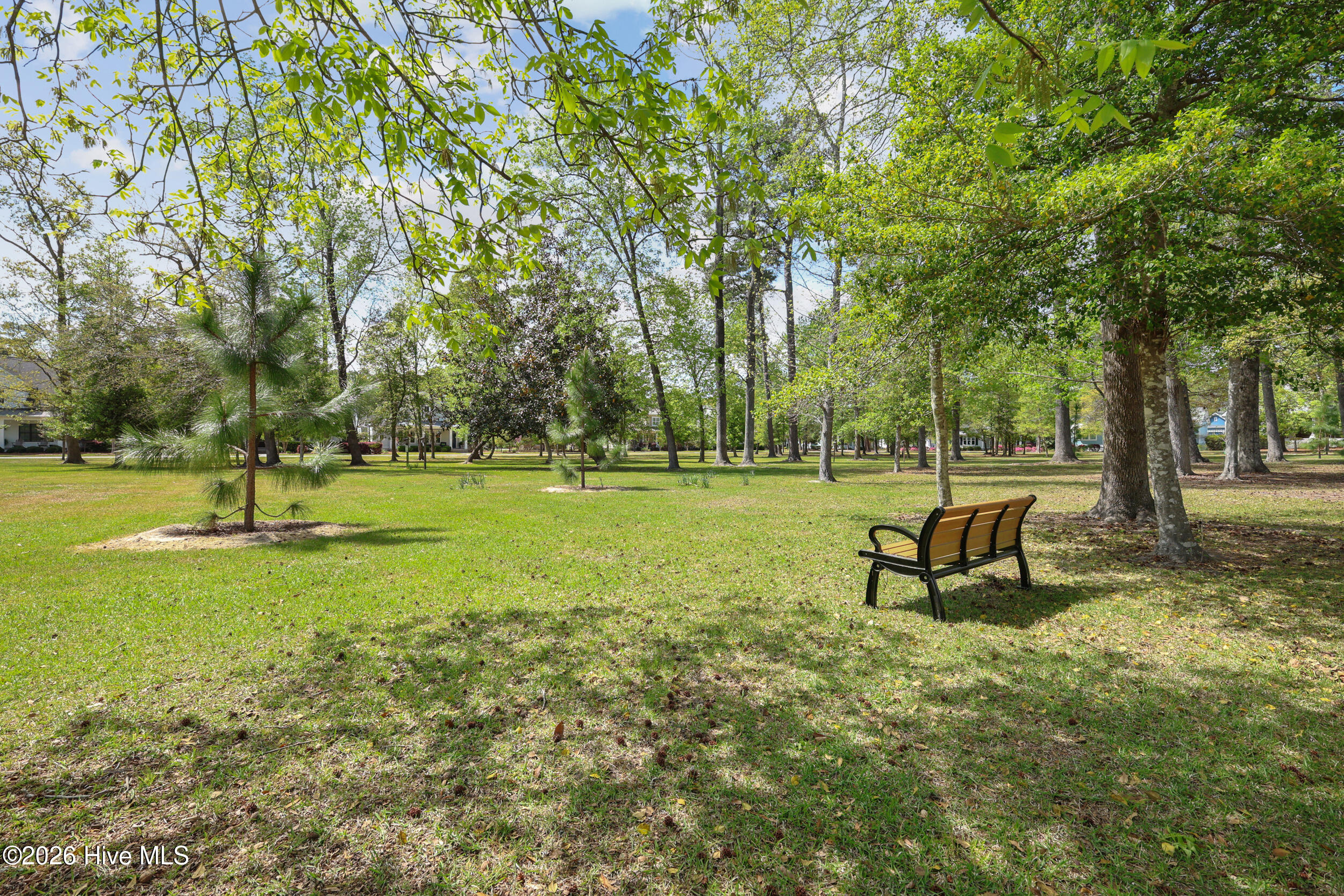 100566937 | Photo 82