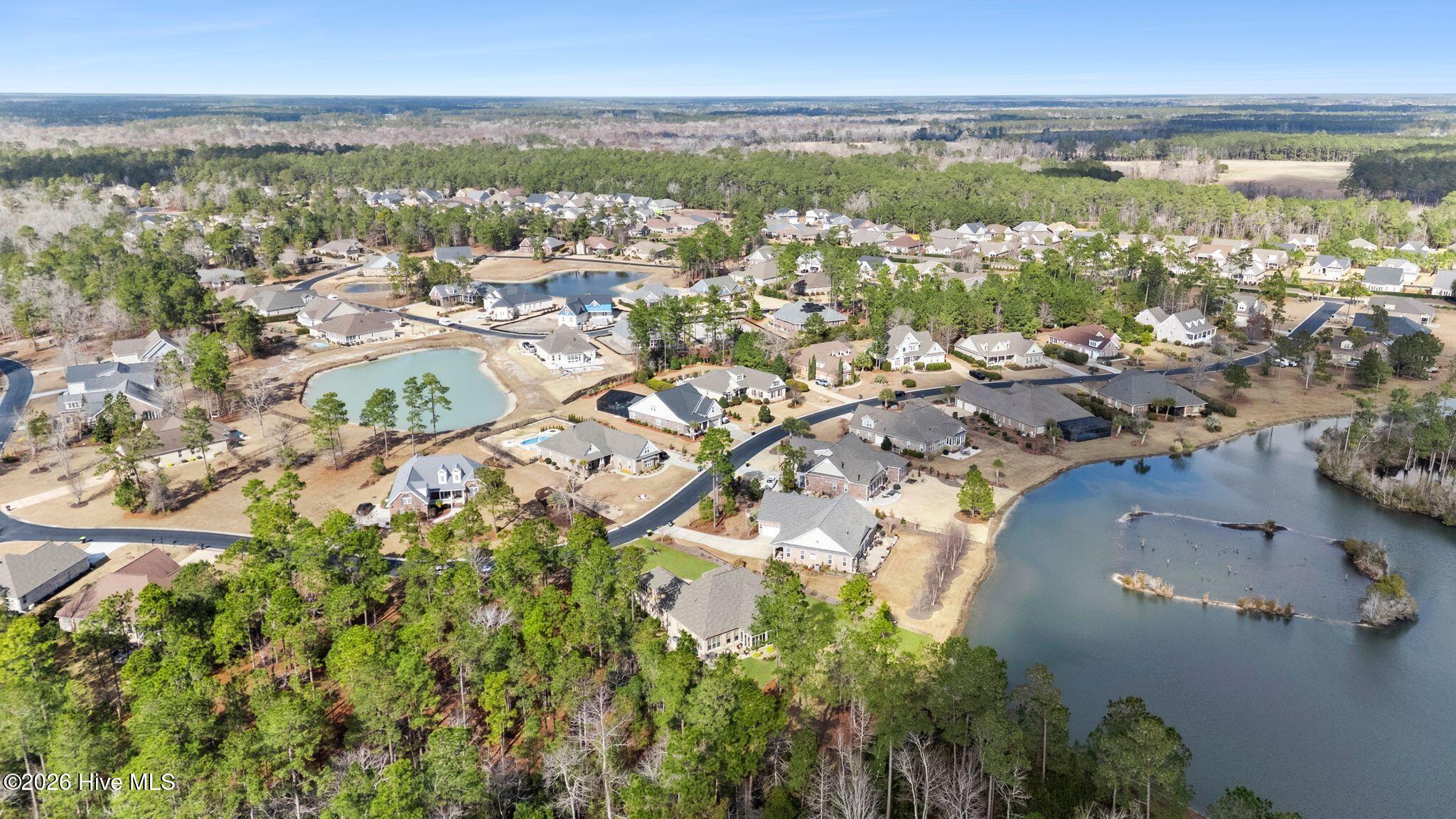 100551646 | Photo 50