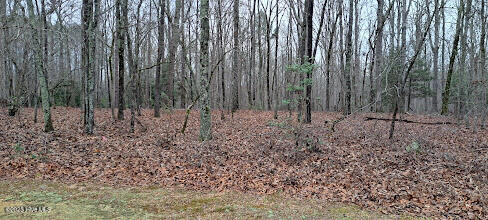 Homes for sale in Carthage, NC | 16B Winners Cir Ln, Carthage, NC 28327 | MLS# 100538316