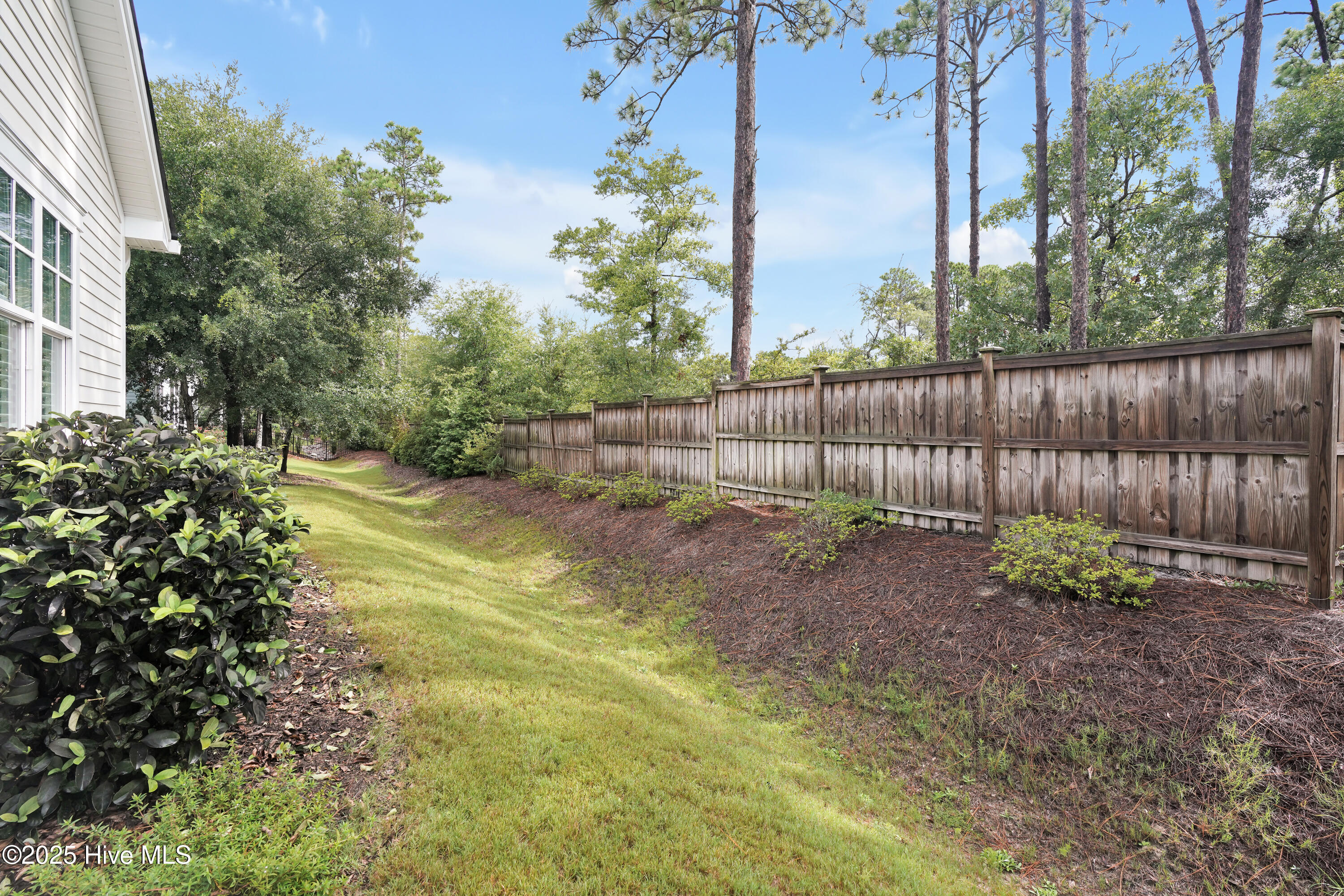 100524954 | Photo 32