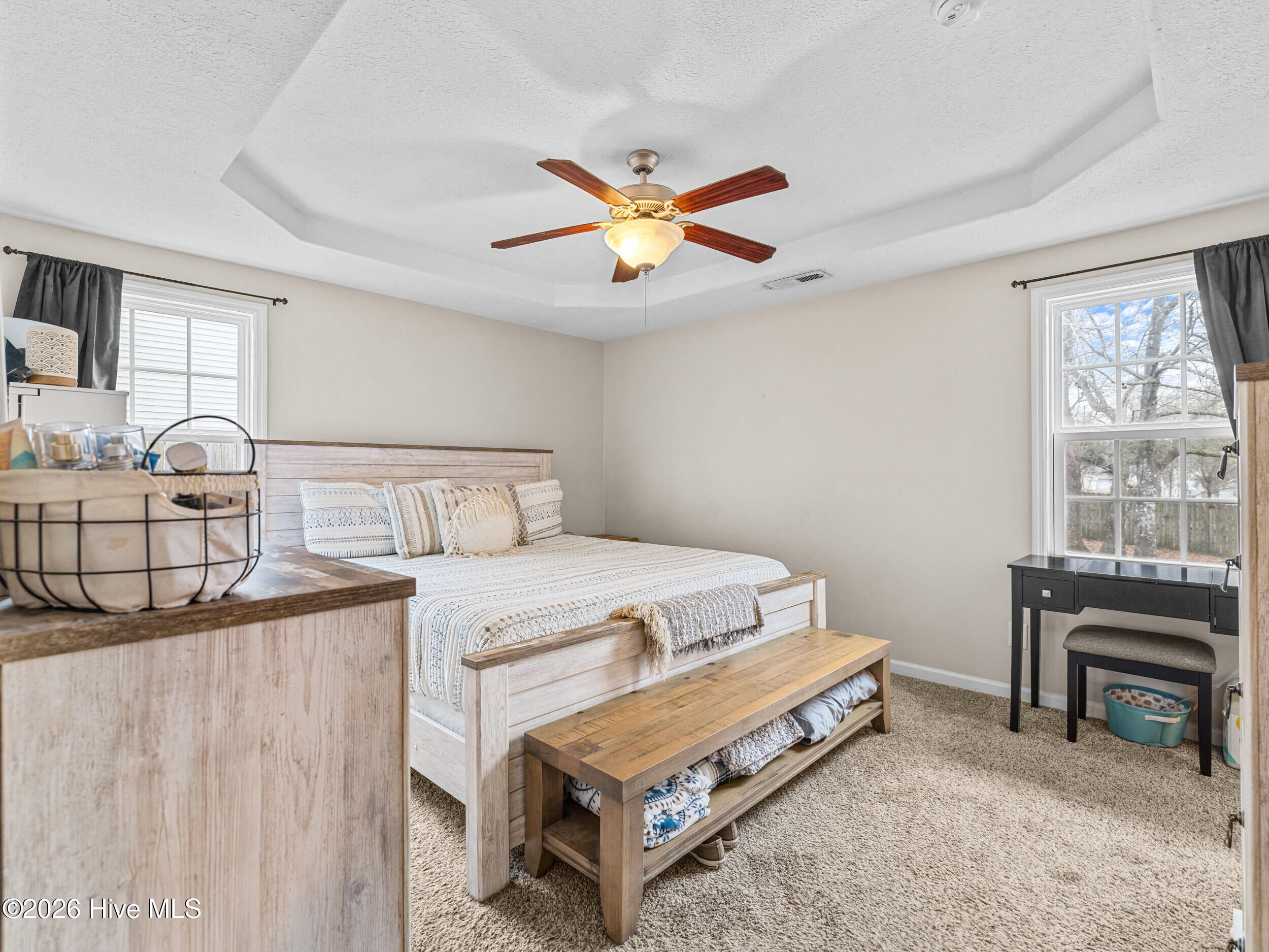 100558064 | Photo 19