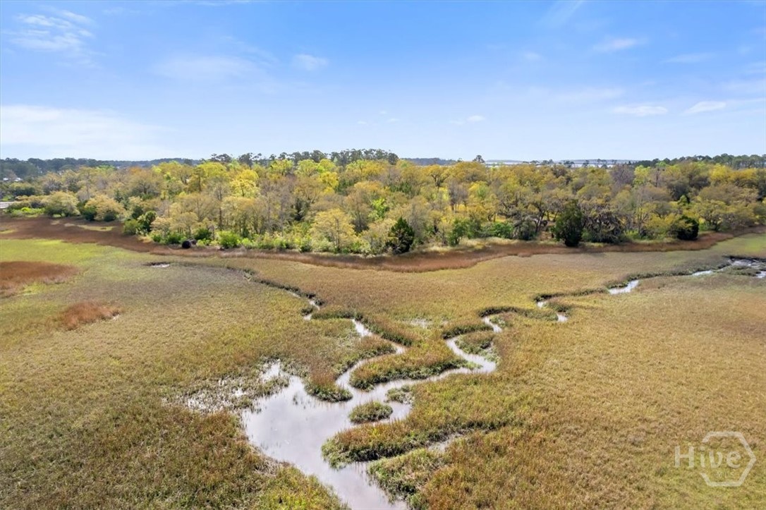 LOT 4 Bermuda Bluff Lane, Midway, GA, 31320