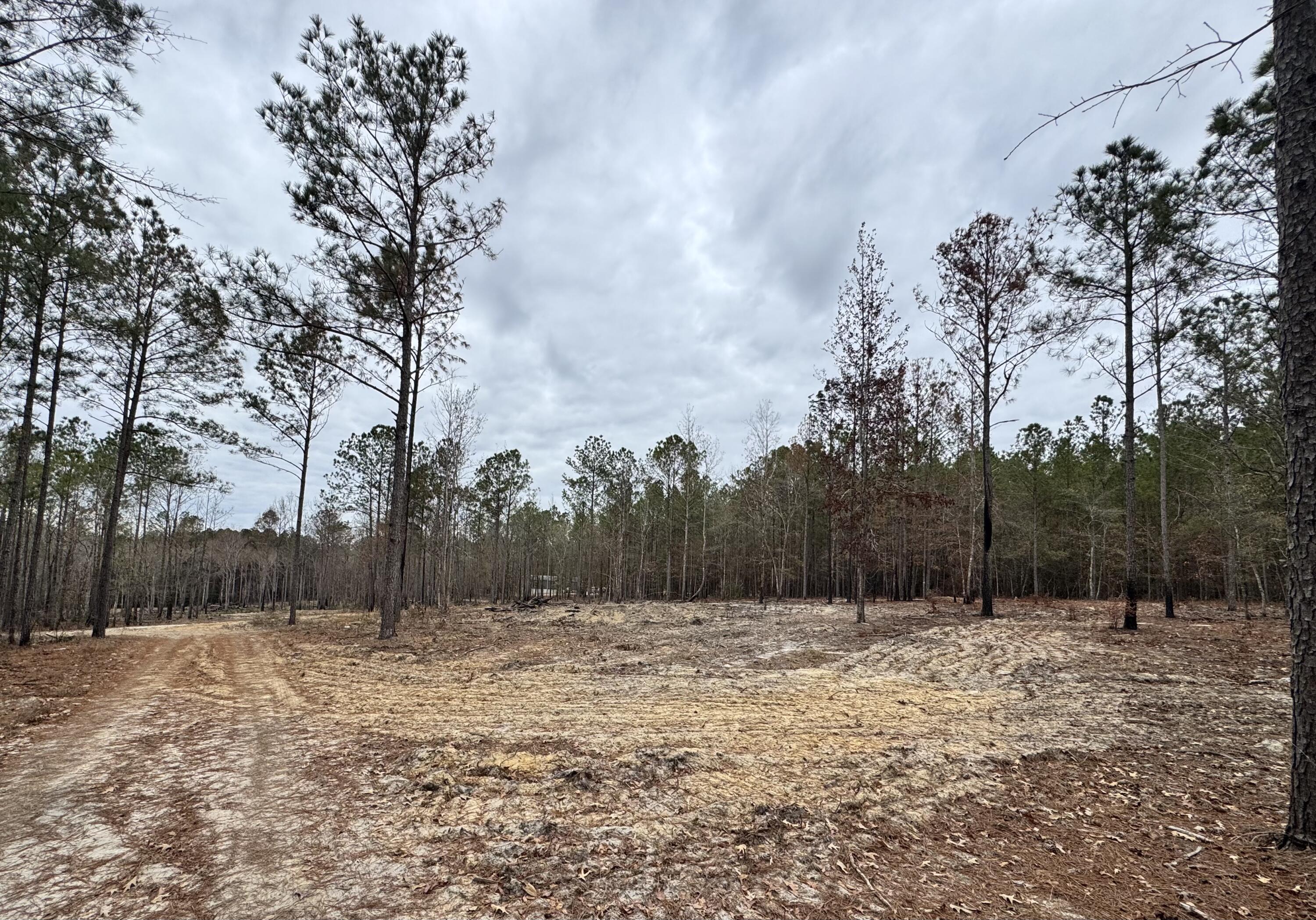 Homes for sale in Gibson, GA | 3479 Bastonville Rd, Gibson, GA 30810 | MLS# 548326